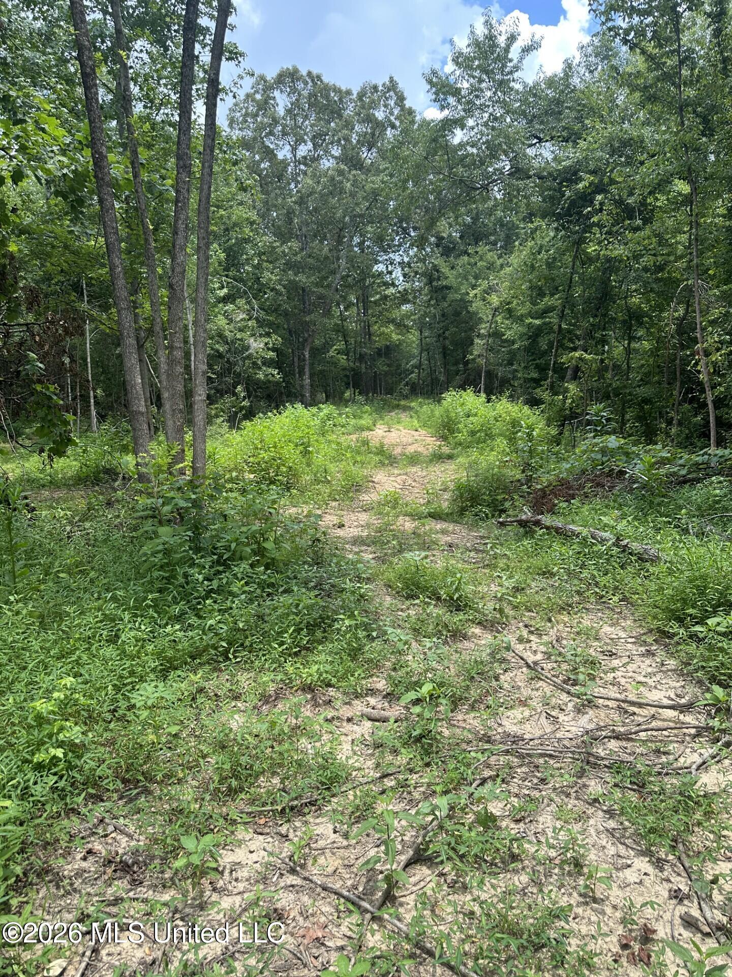 Gravel Springs Road