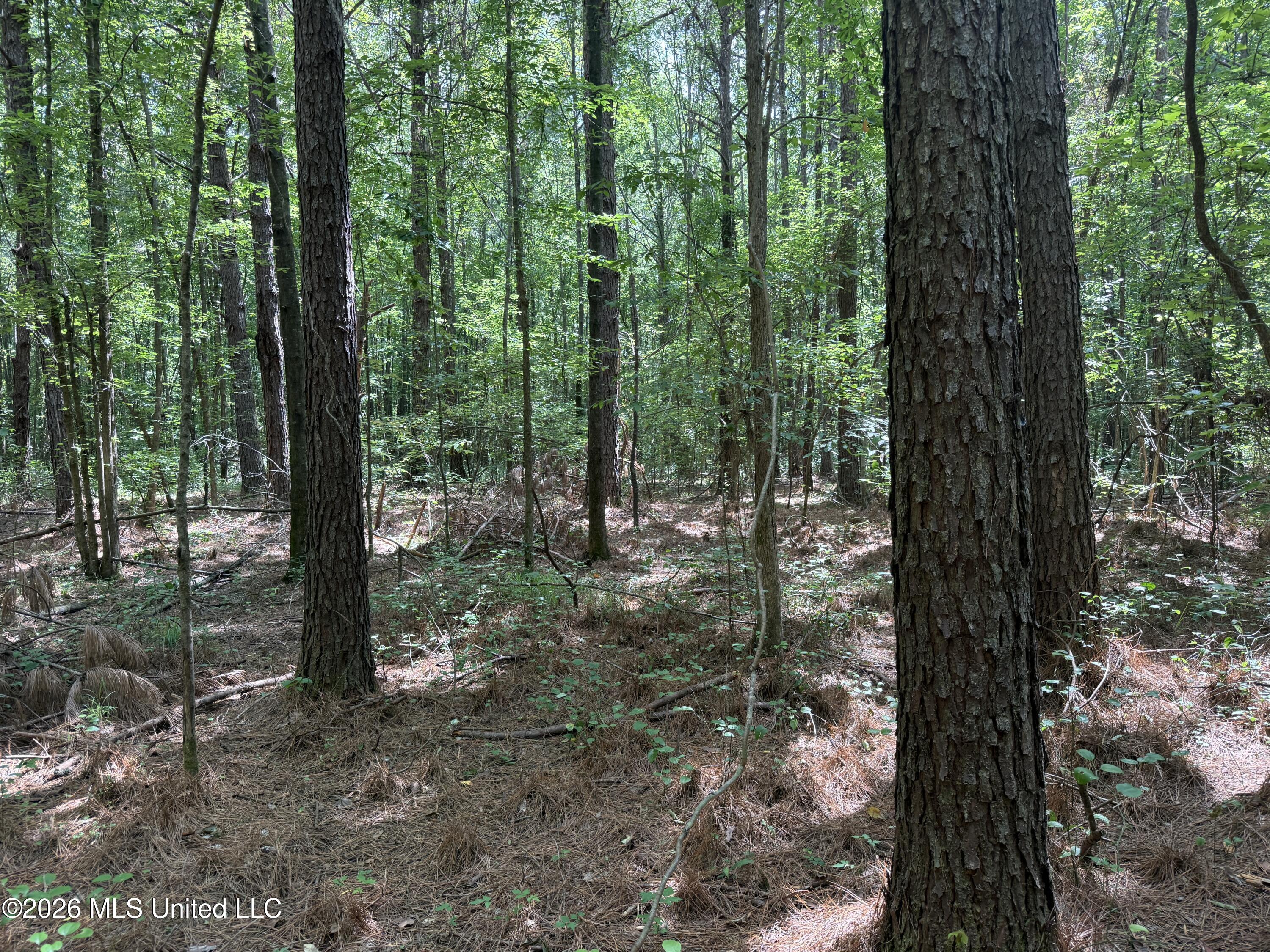 Highway 407 Property Photo 3