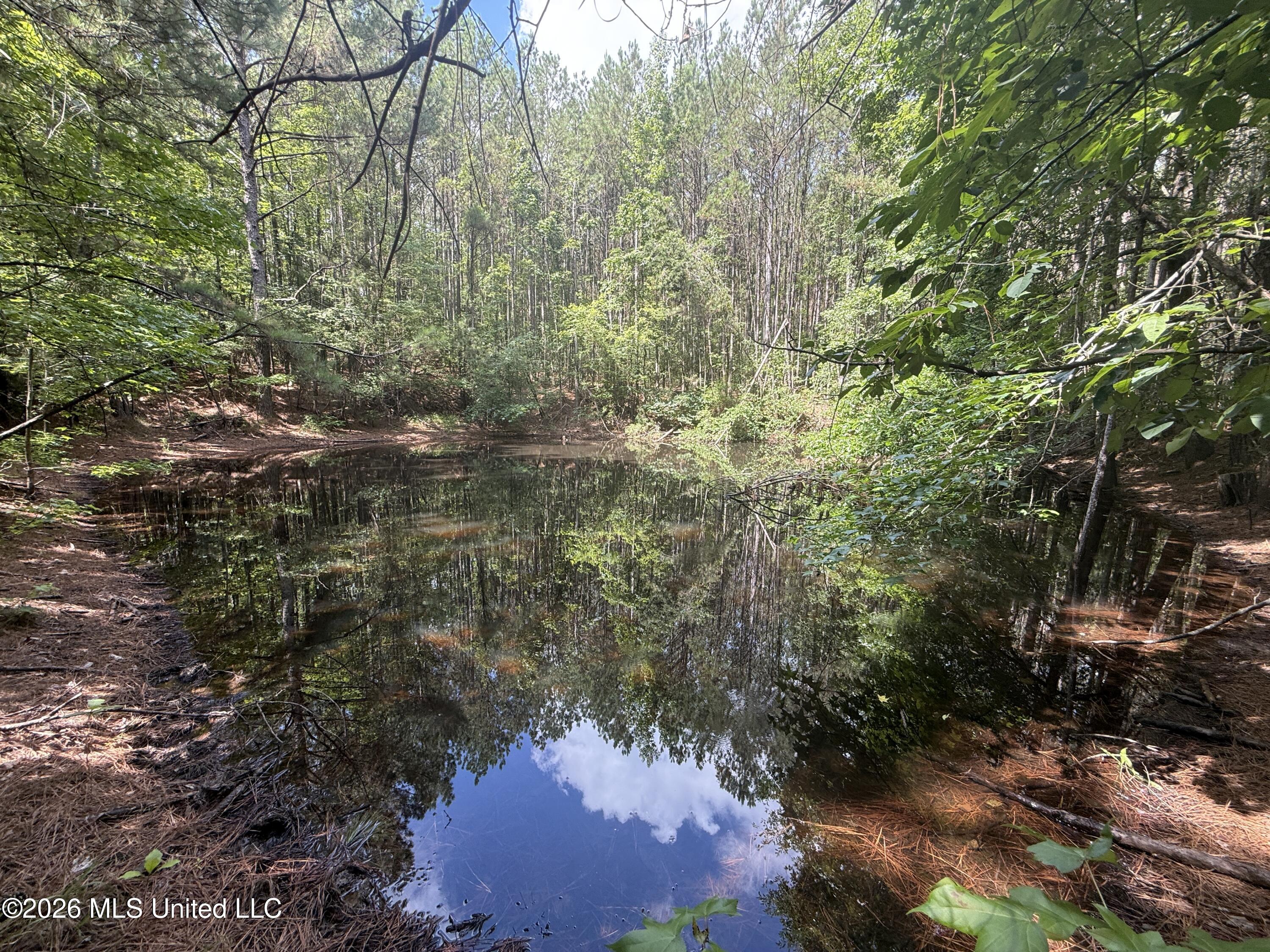 Highway 407 Property Photo 4