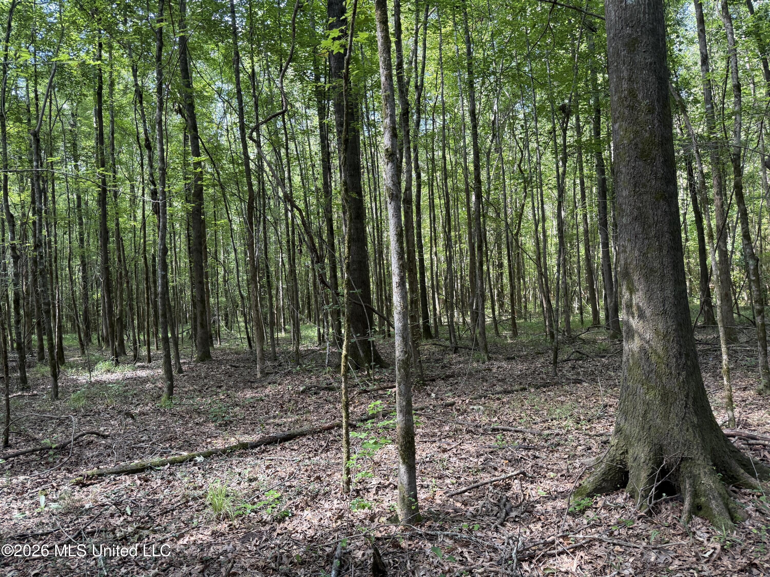 Highway 407 Property Photo 5