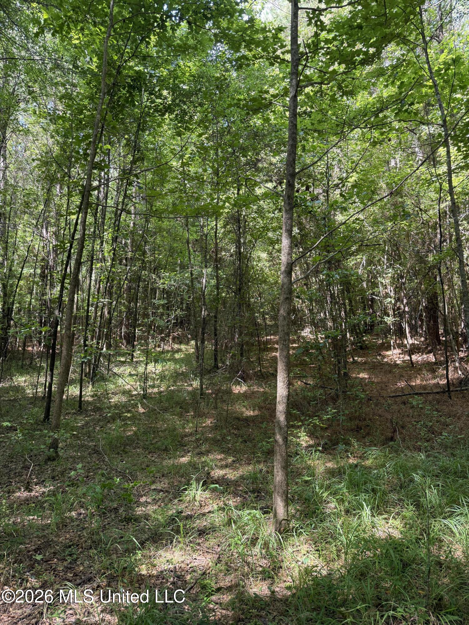 Highway 407 Property Photo 6