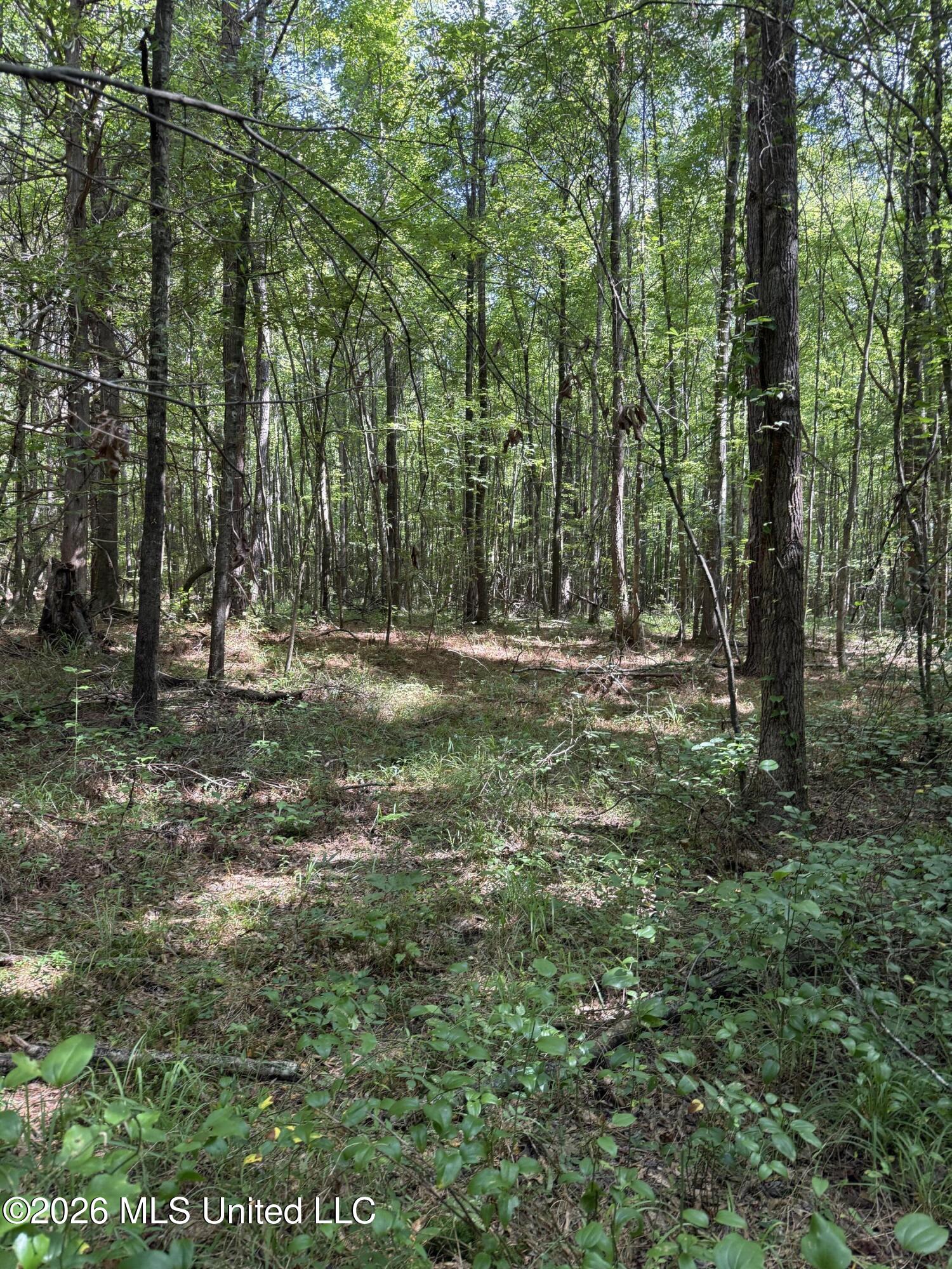 Highway 407 Property Photo 7