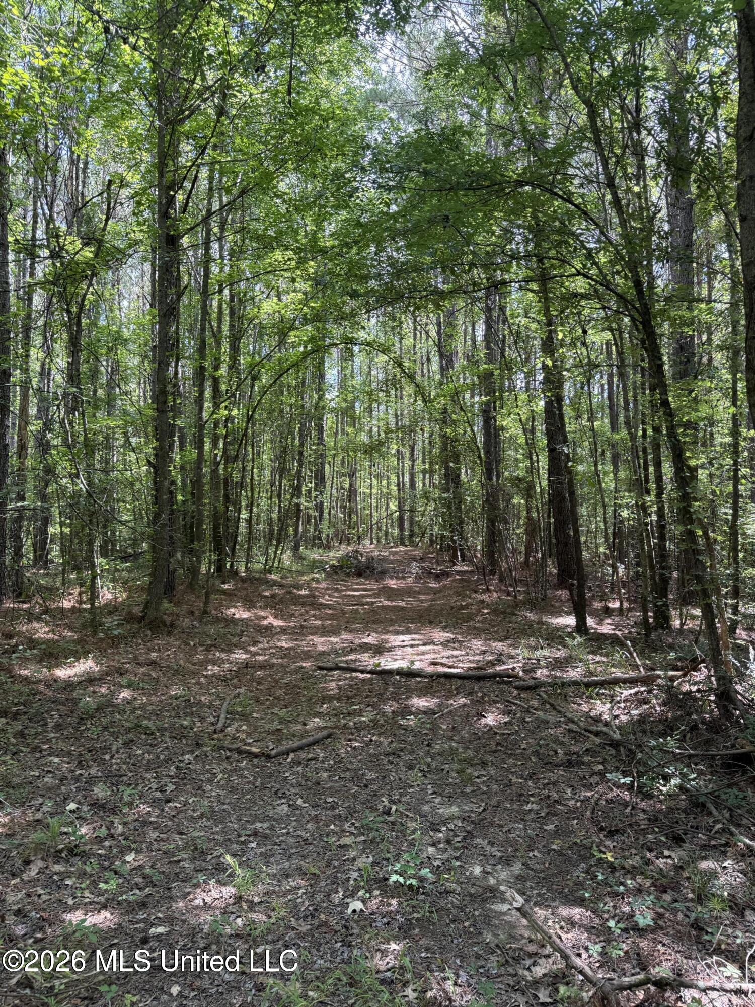 Highway 407 Property Photo 8