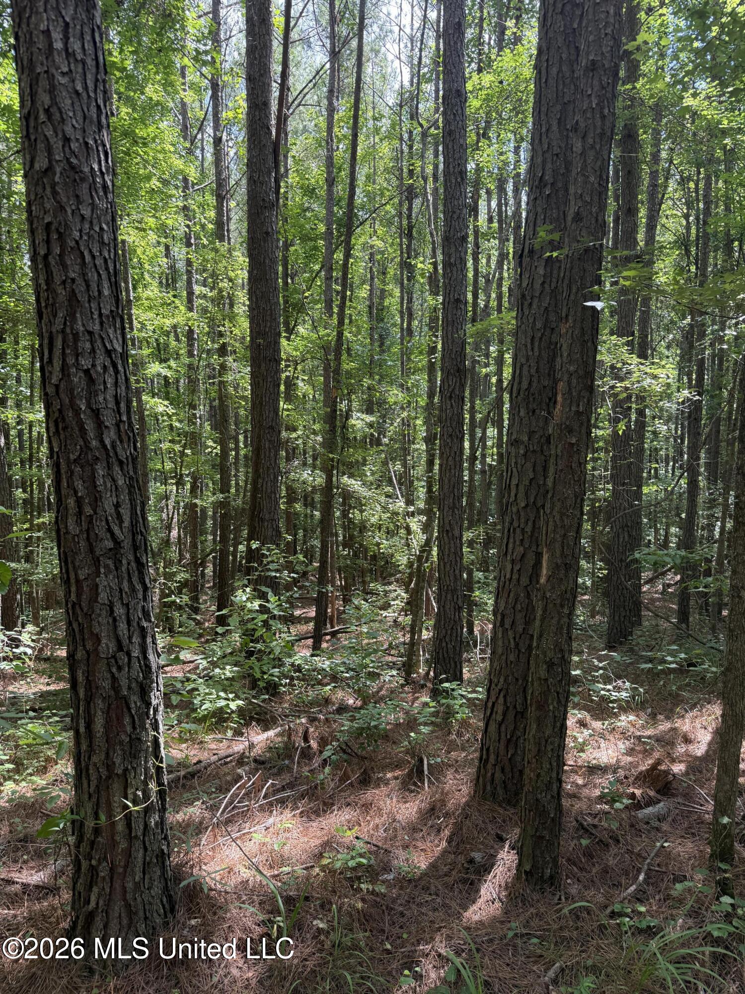 Highway 407 Property Photo 10