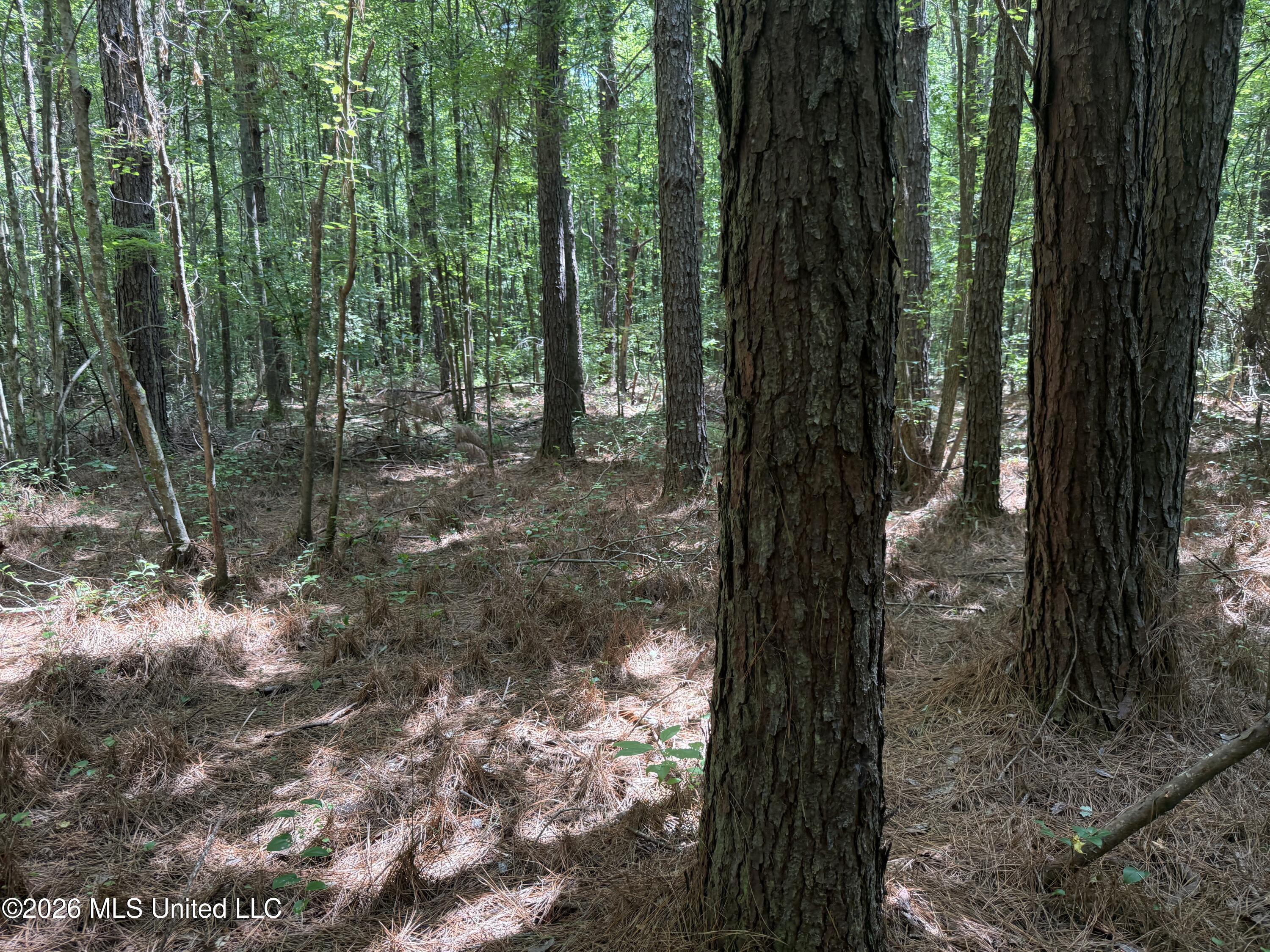 Highway 407 Property Photo 11