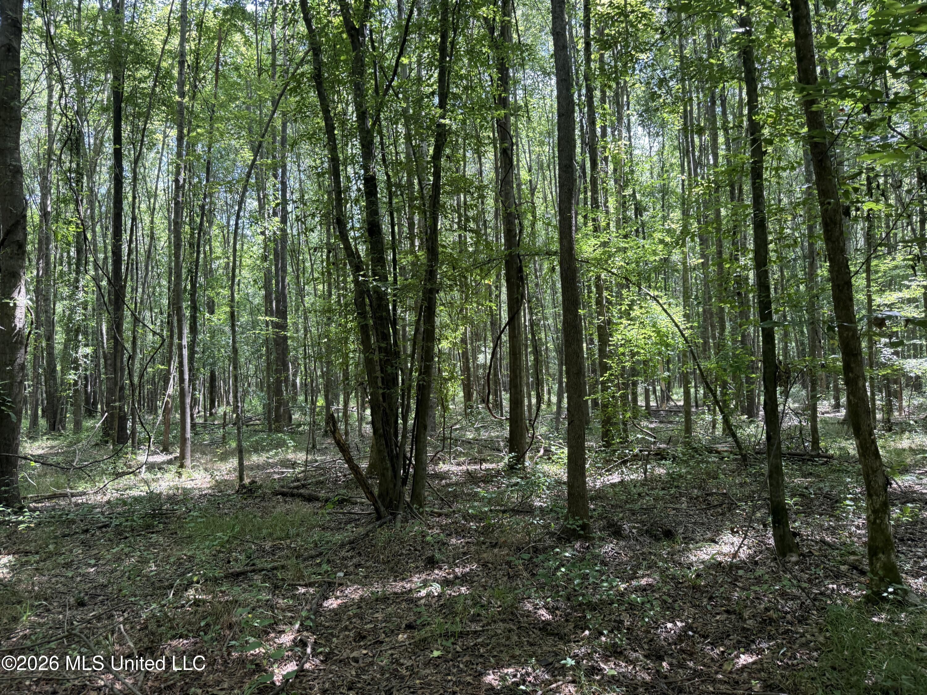 Highway 407 Property Photo 12