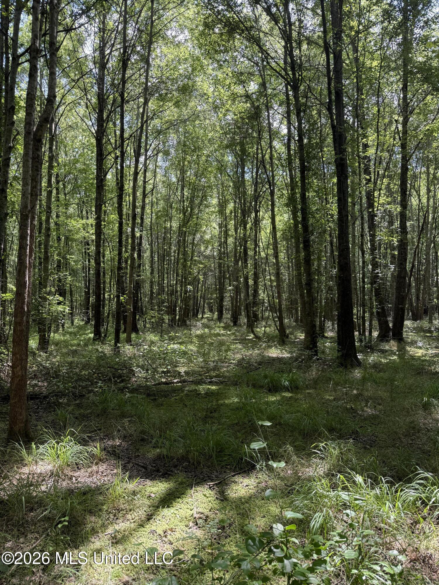 Highway 407 Property Photo 13