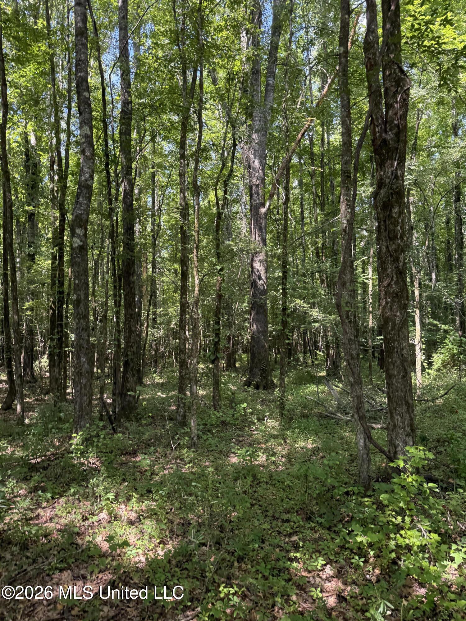 Highway 407 Property Photo 15