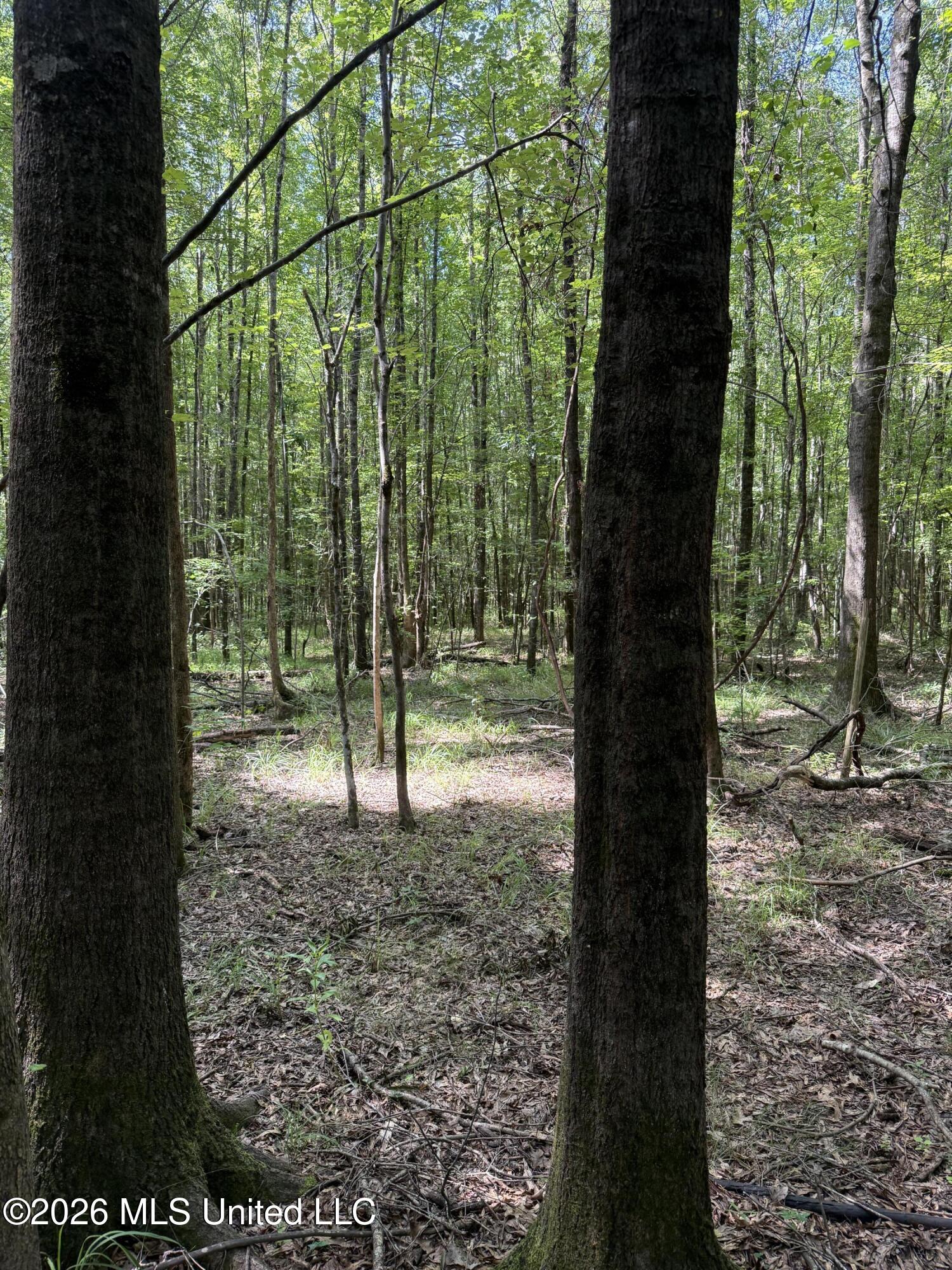 Highway 407 Property Photo 16