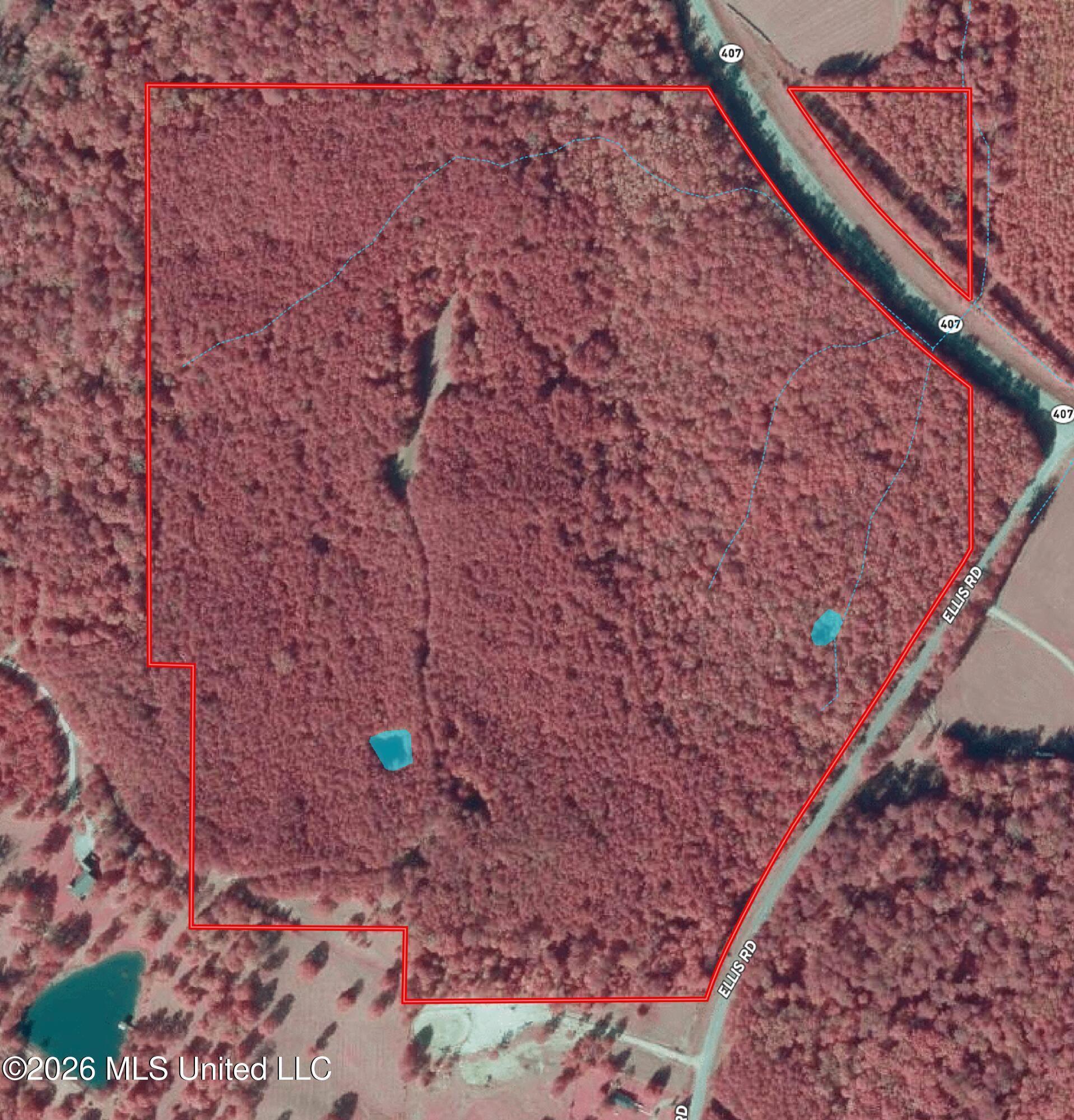 Highway 407 Property Photo 23