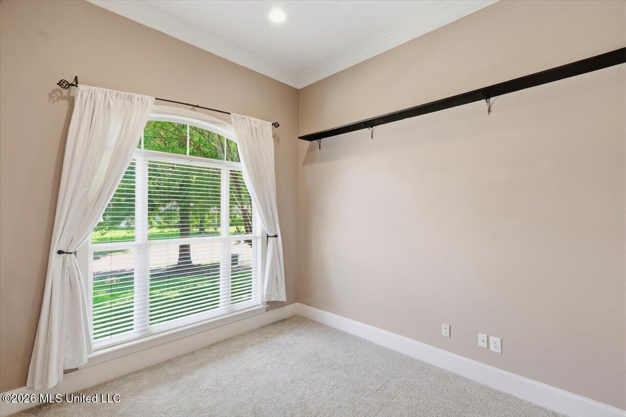 106 Ellicot Burn Property Photo 23