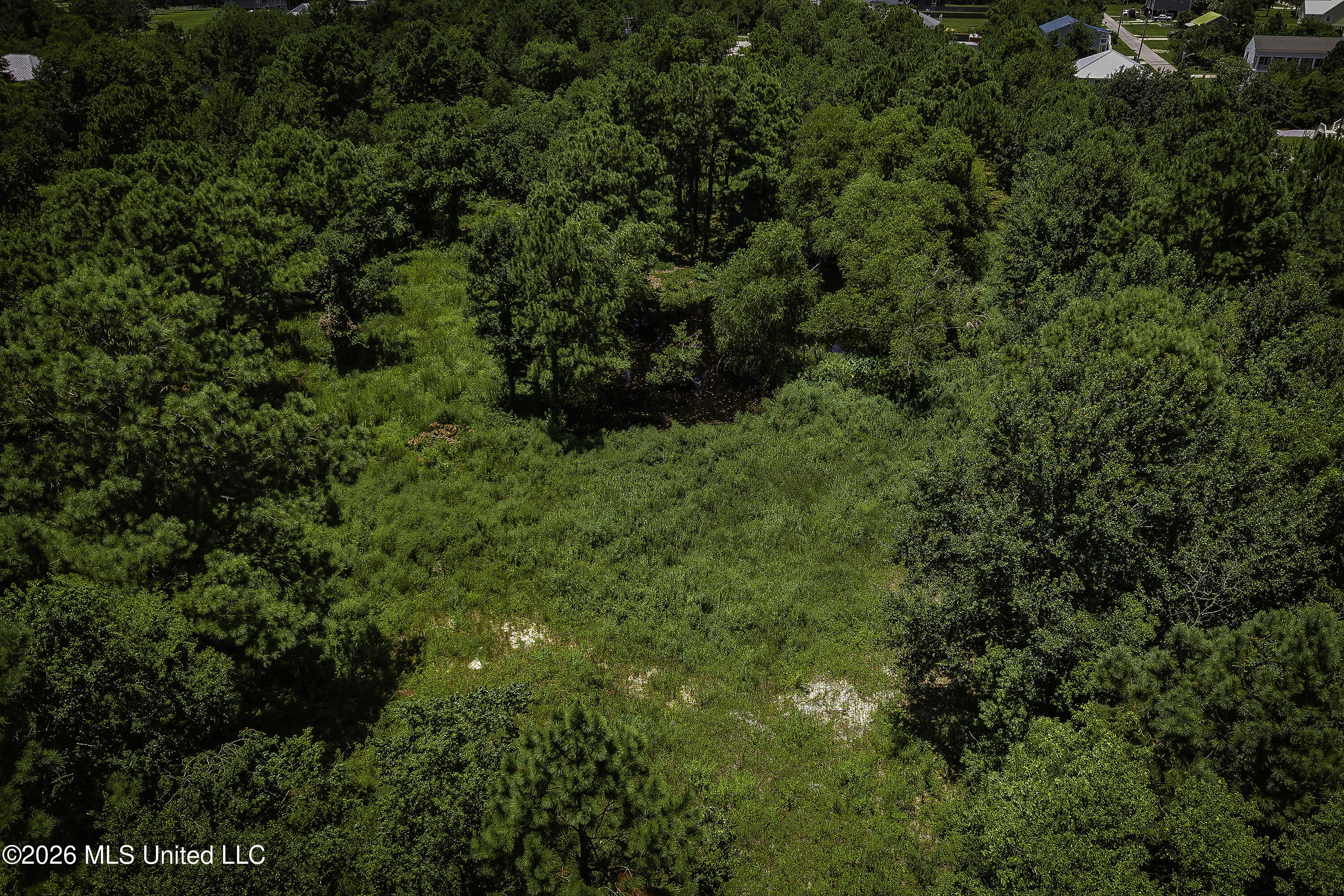 401 Fell Street Property Photo 8