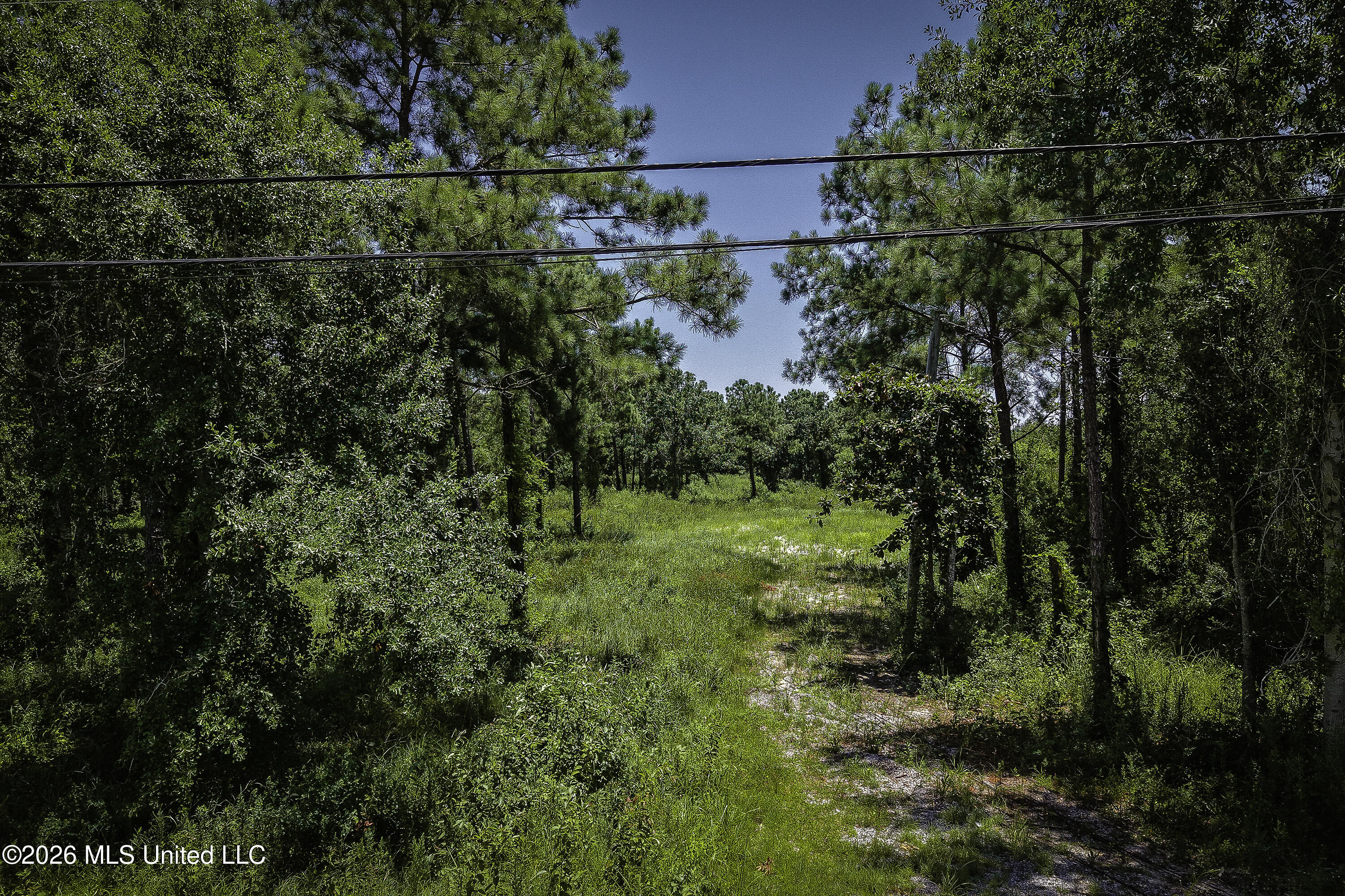 401 Fell Street Property Photo 14