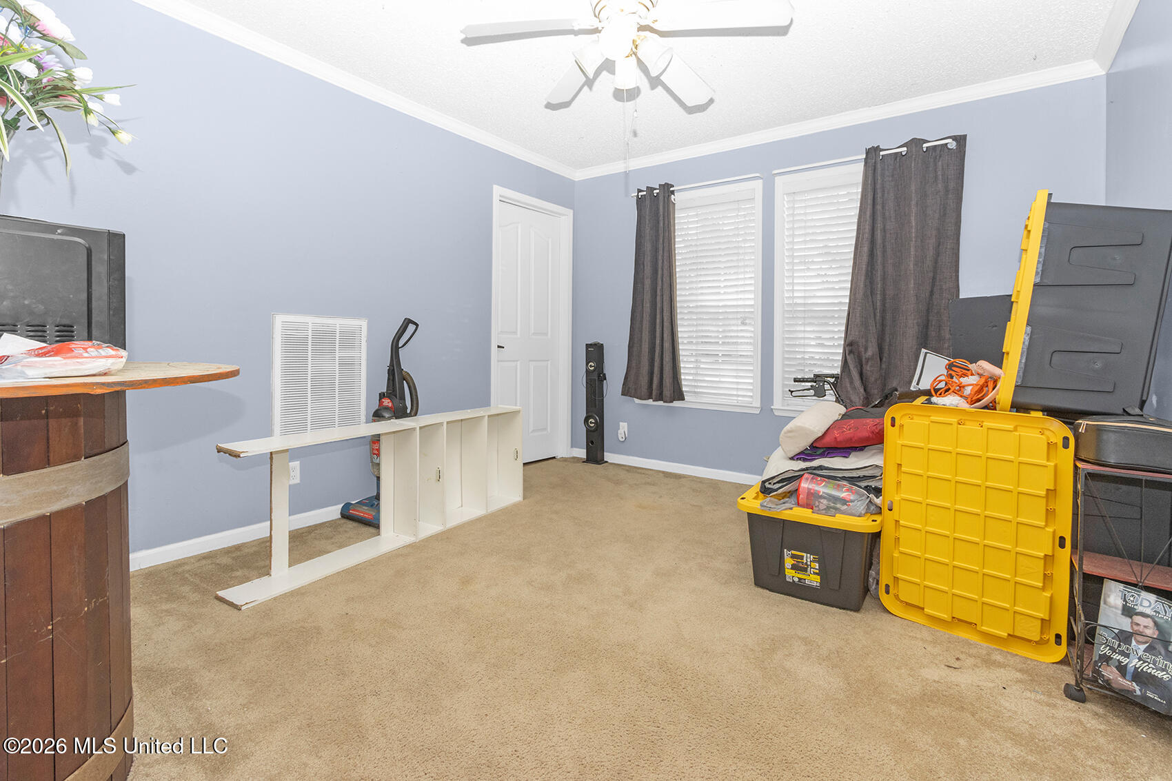 19457 Lennis Cuevas Road Property Photo 8