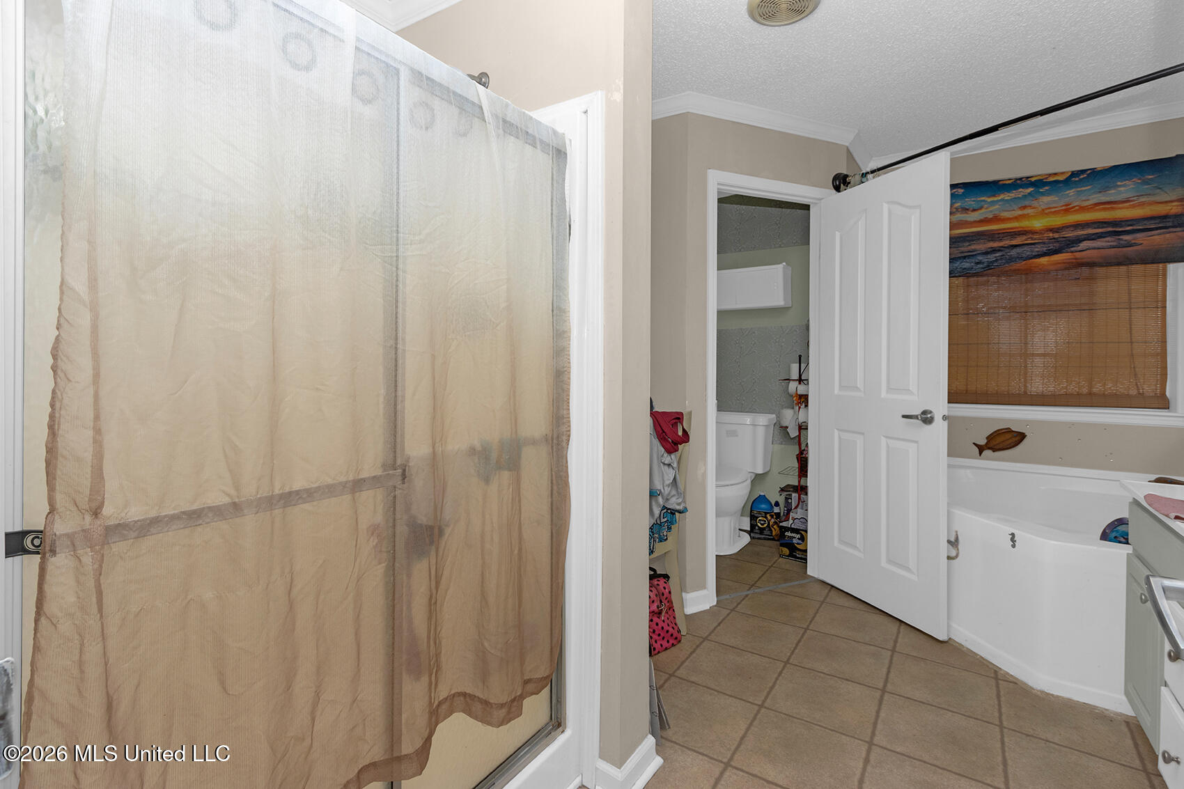19457 Lennis Cuevas Road Property Photo 11