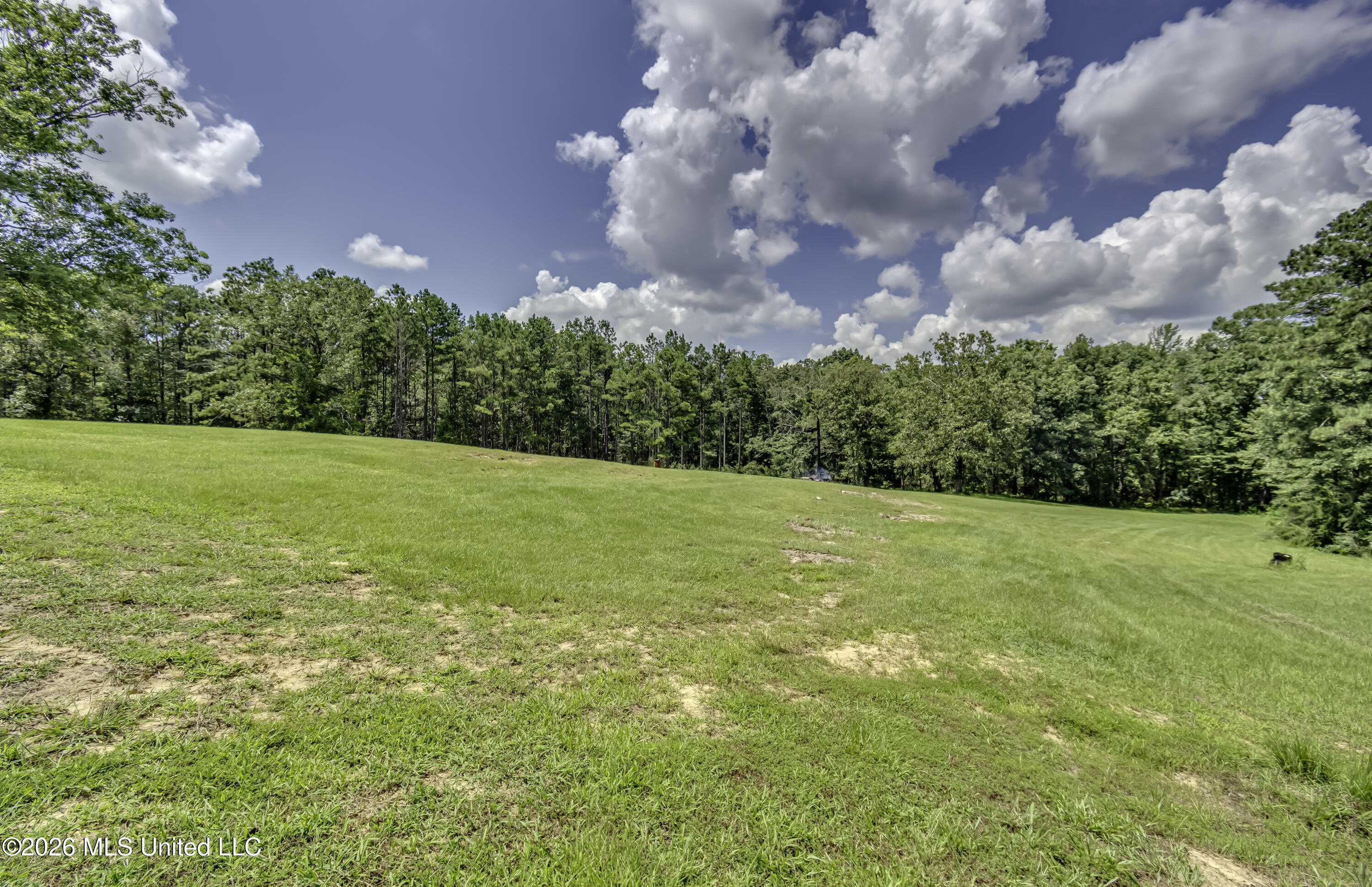 486 Holifield Circle Property Photo 64