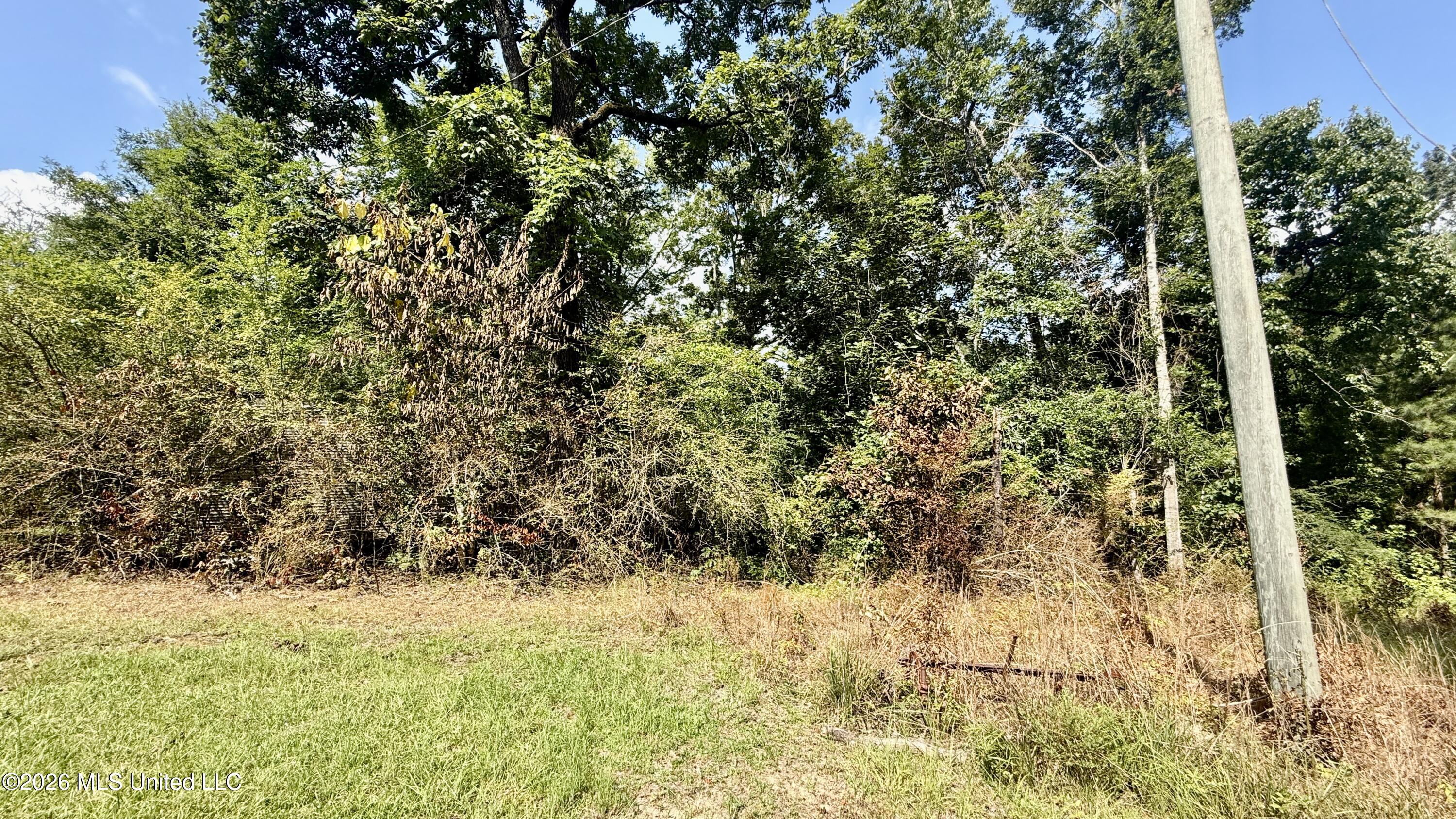152 Ken Garner Road Property Photo 7