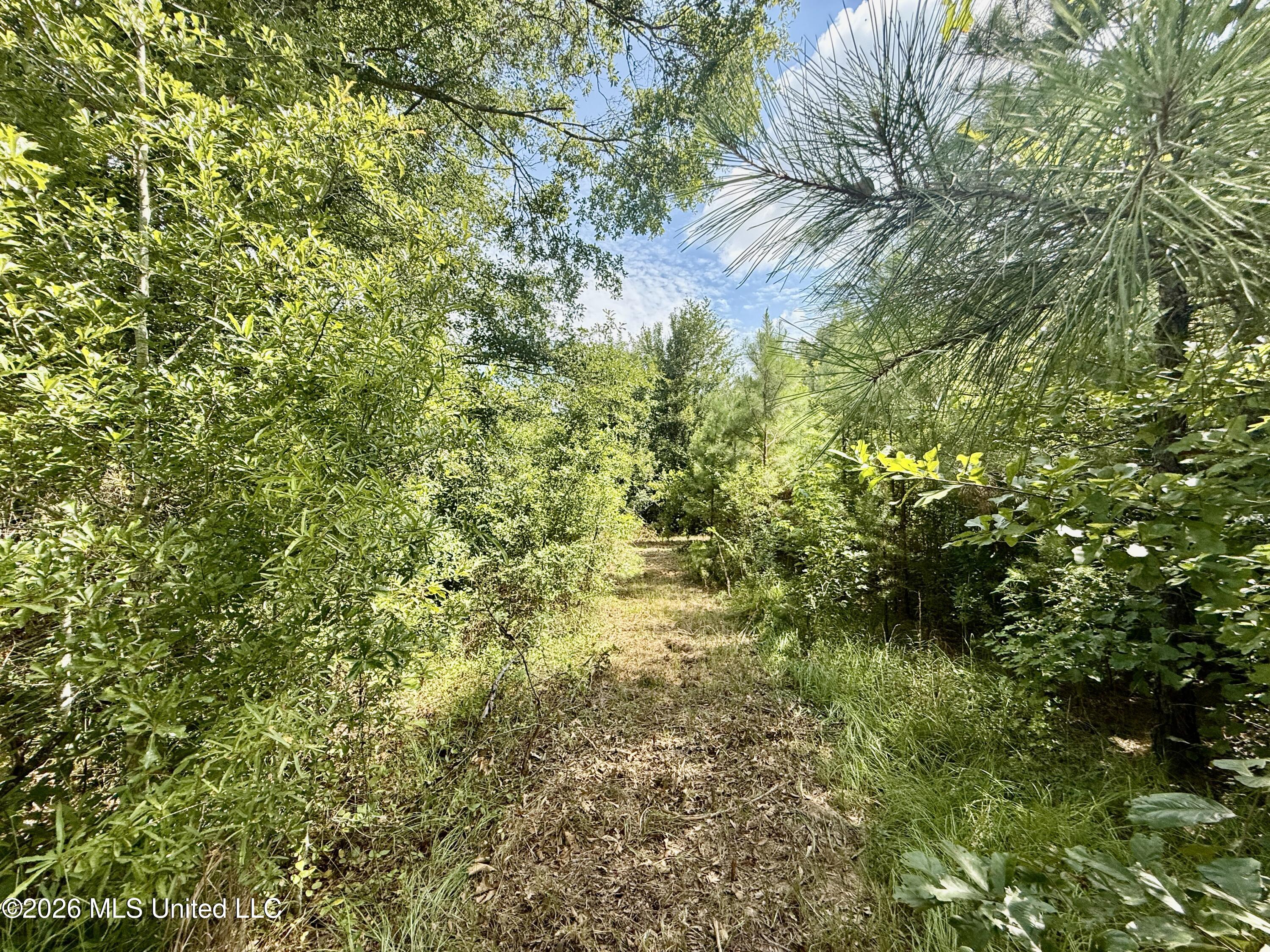 152 Ken Garner Road Property Photo 9