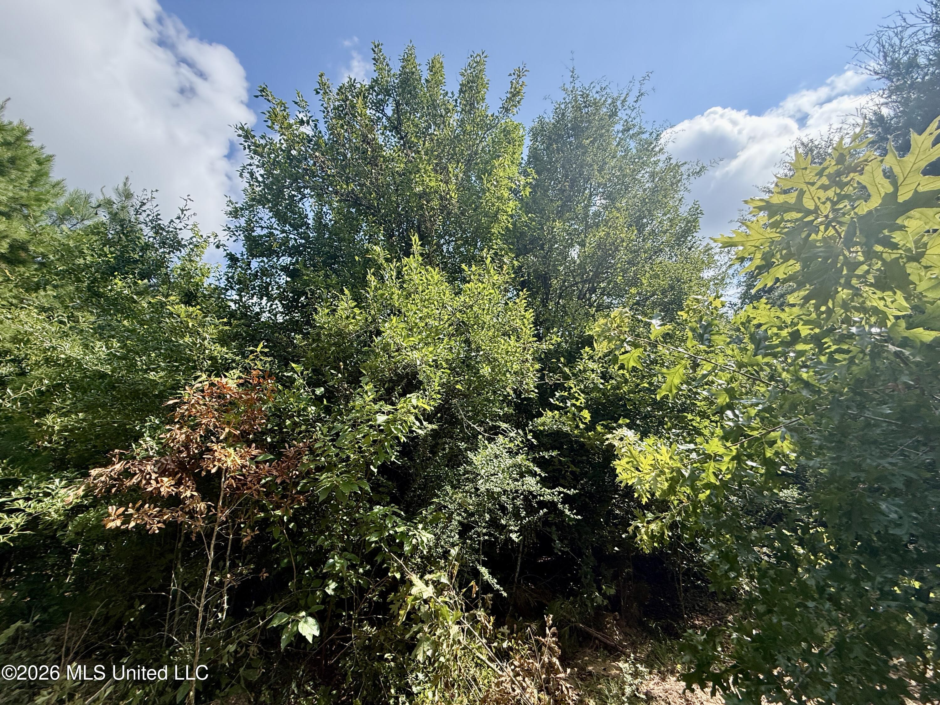 152 Ken Garner Road Property Photo 10
