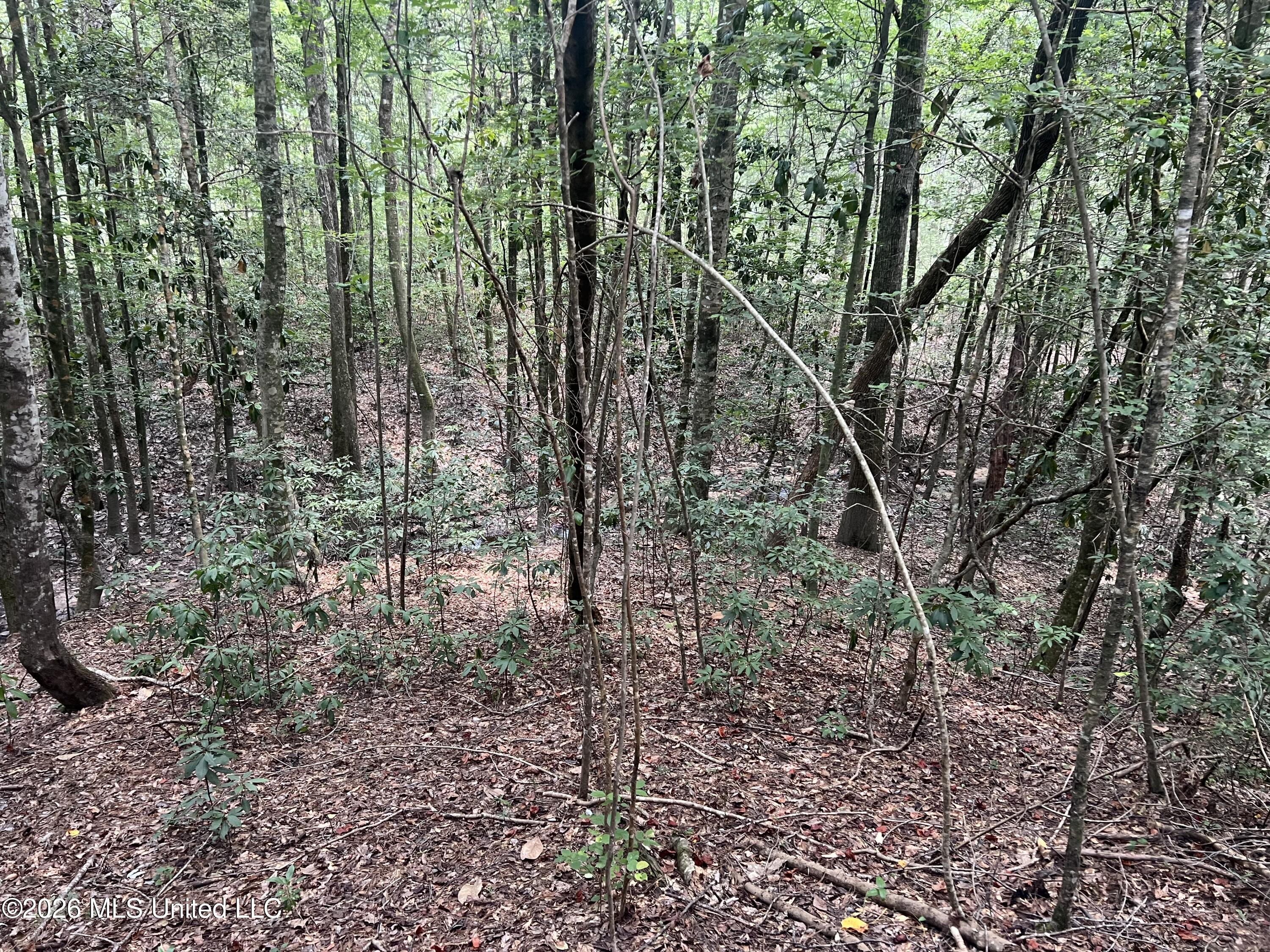 Mcdonald Road Property Photo 1
