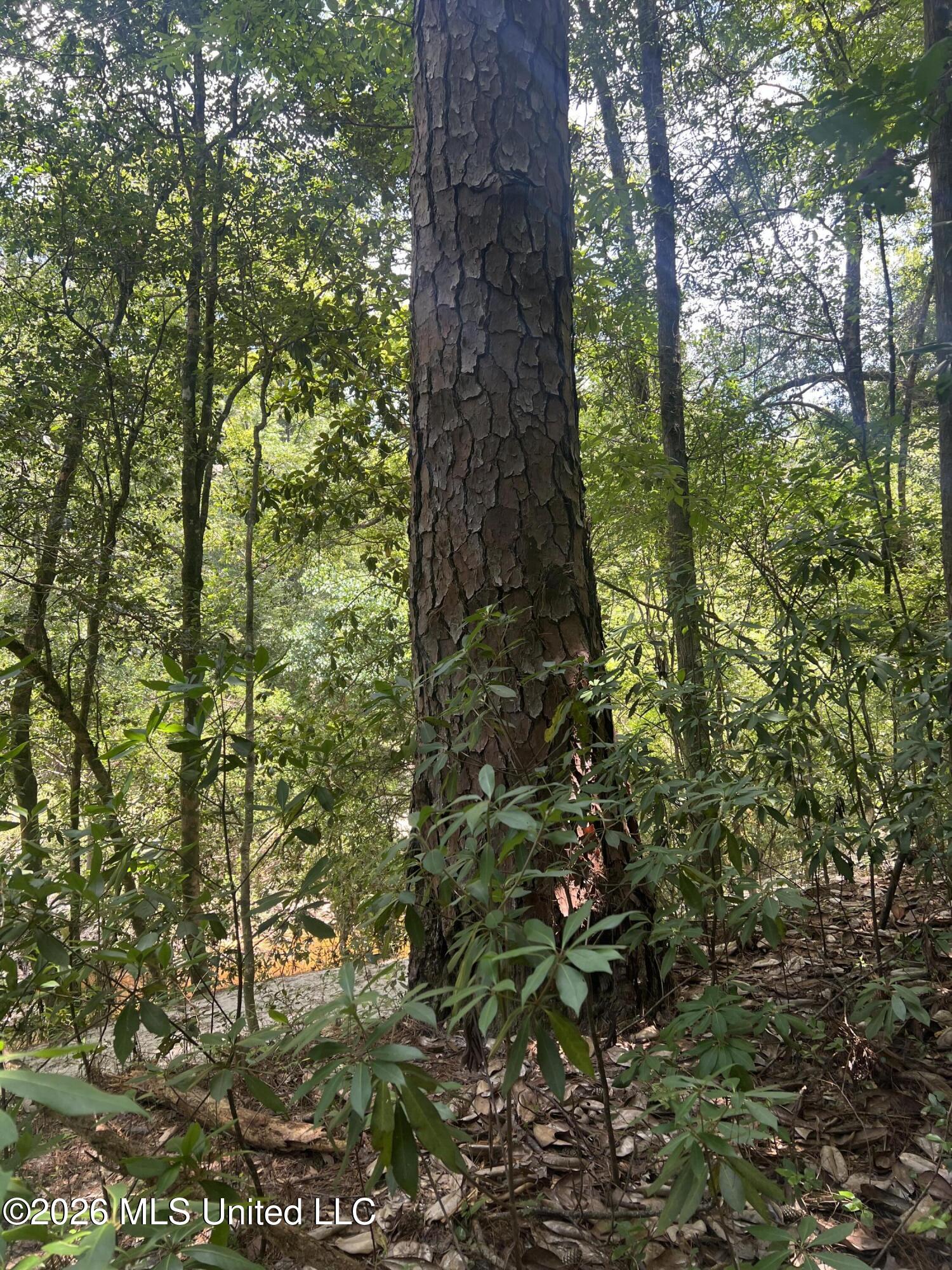 Mcdonald Road Property Photo 2