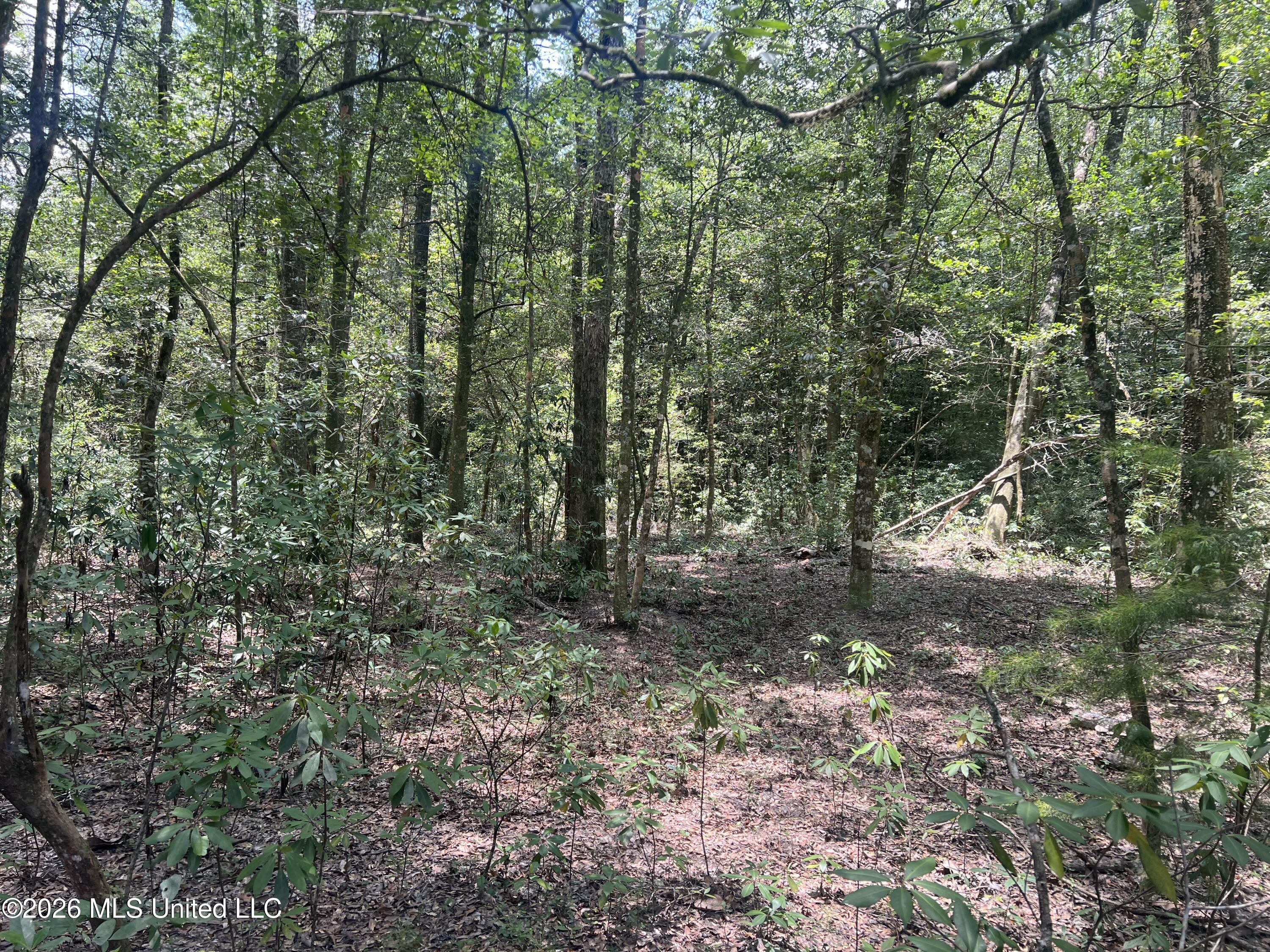 Mcdonald Road Property Photo 3