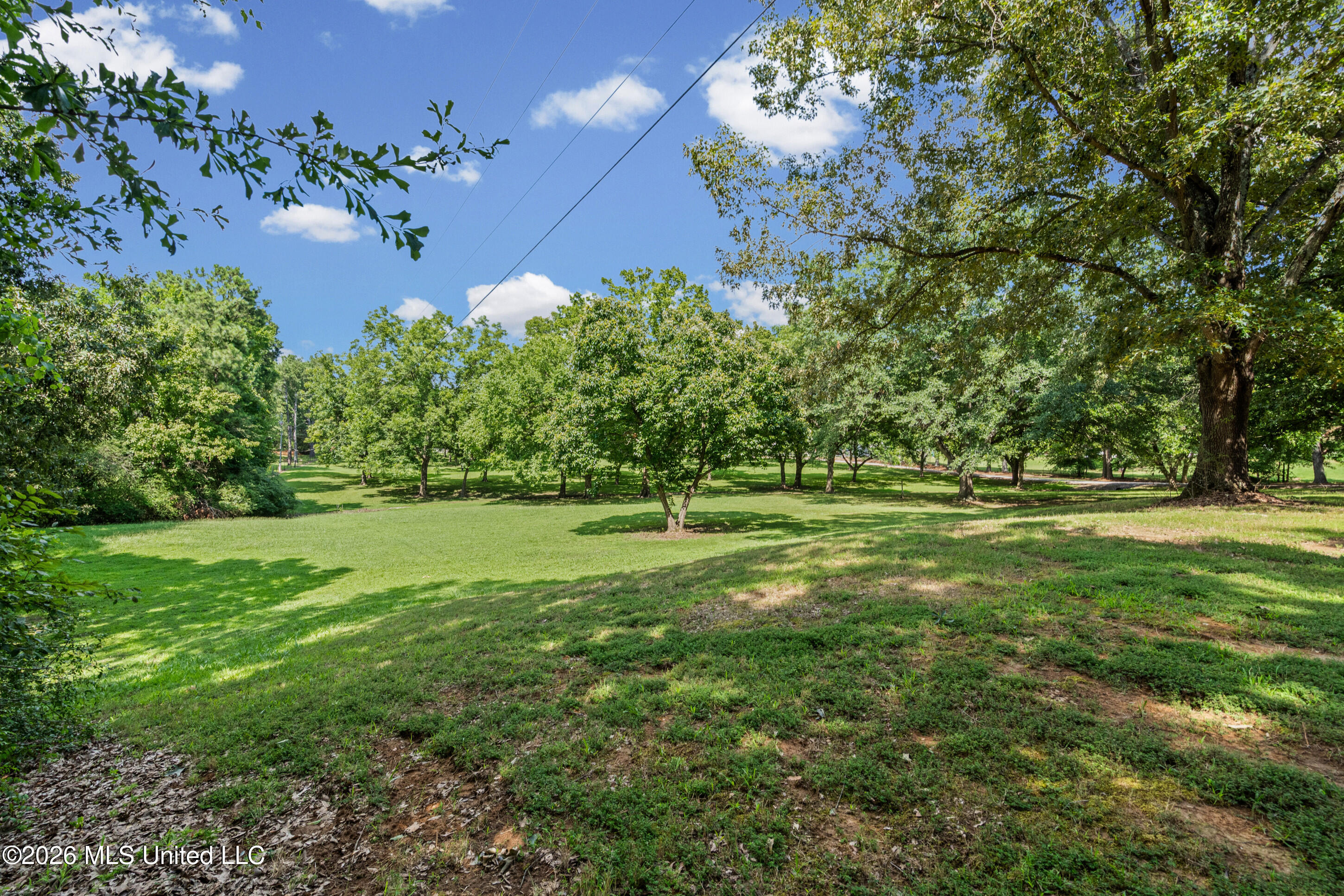 11255 Whispering Pines Drive Property Photo 3