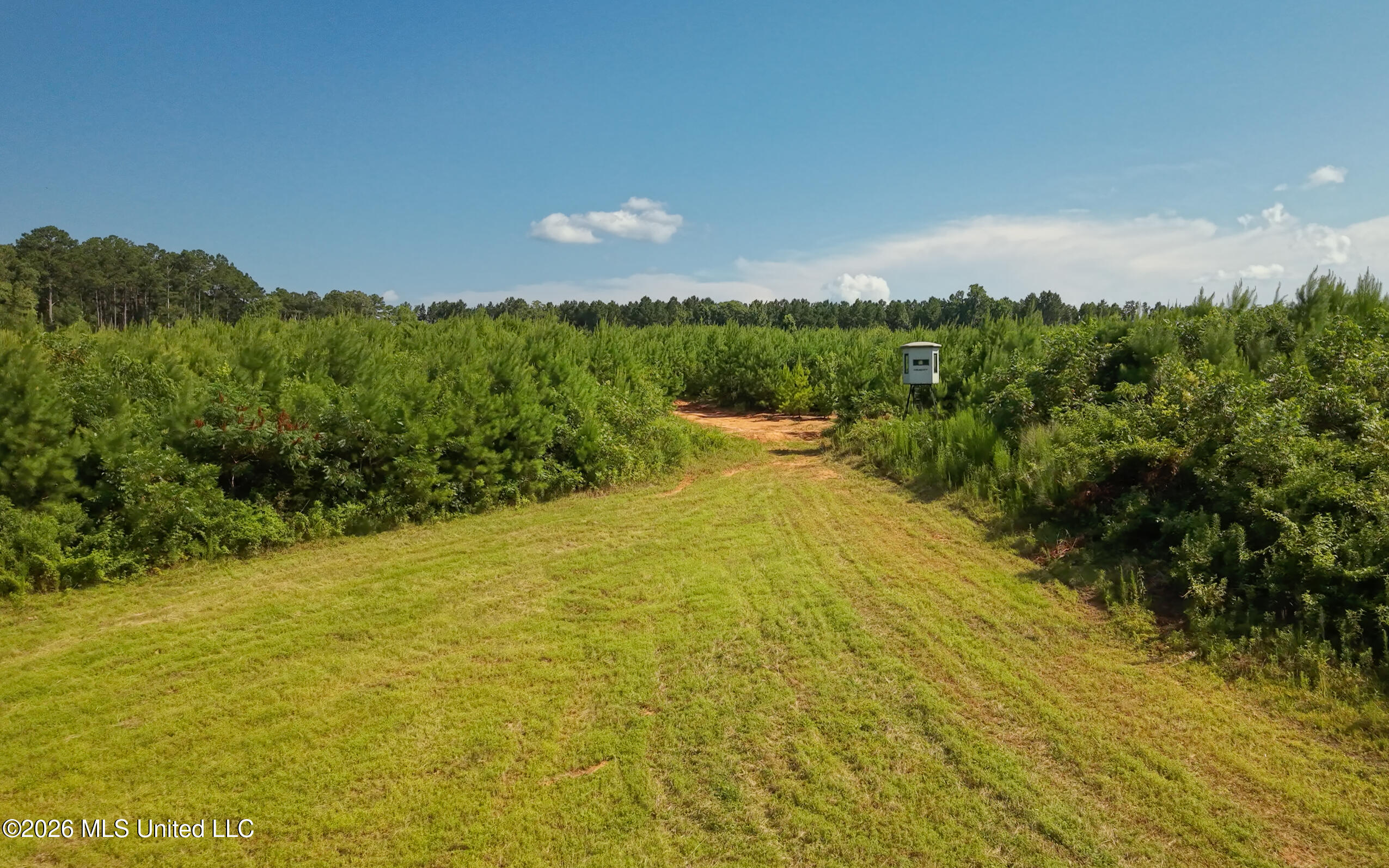 Lower Liberty Gloster Road Property Photo 11