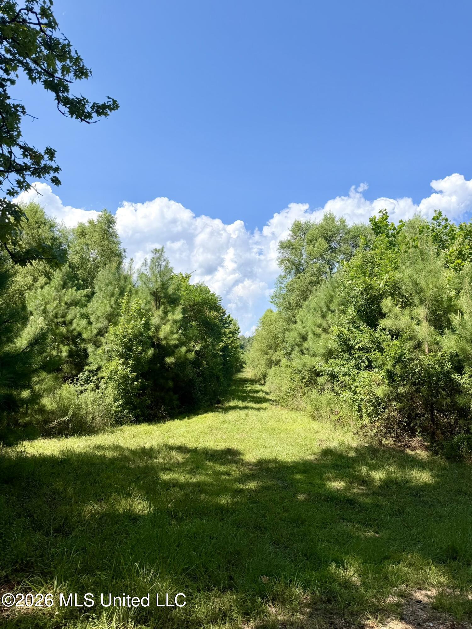 Lower Liberty Gloster Road Property Photo 27