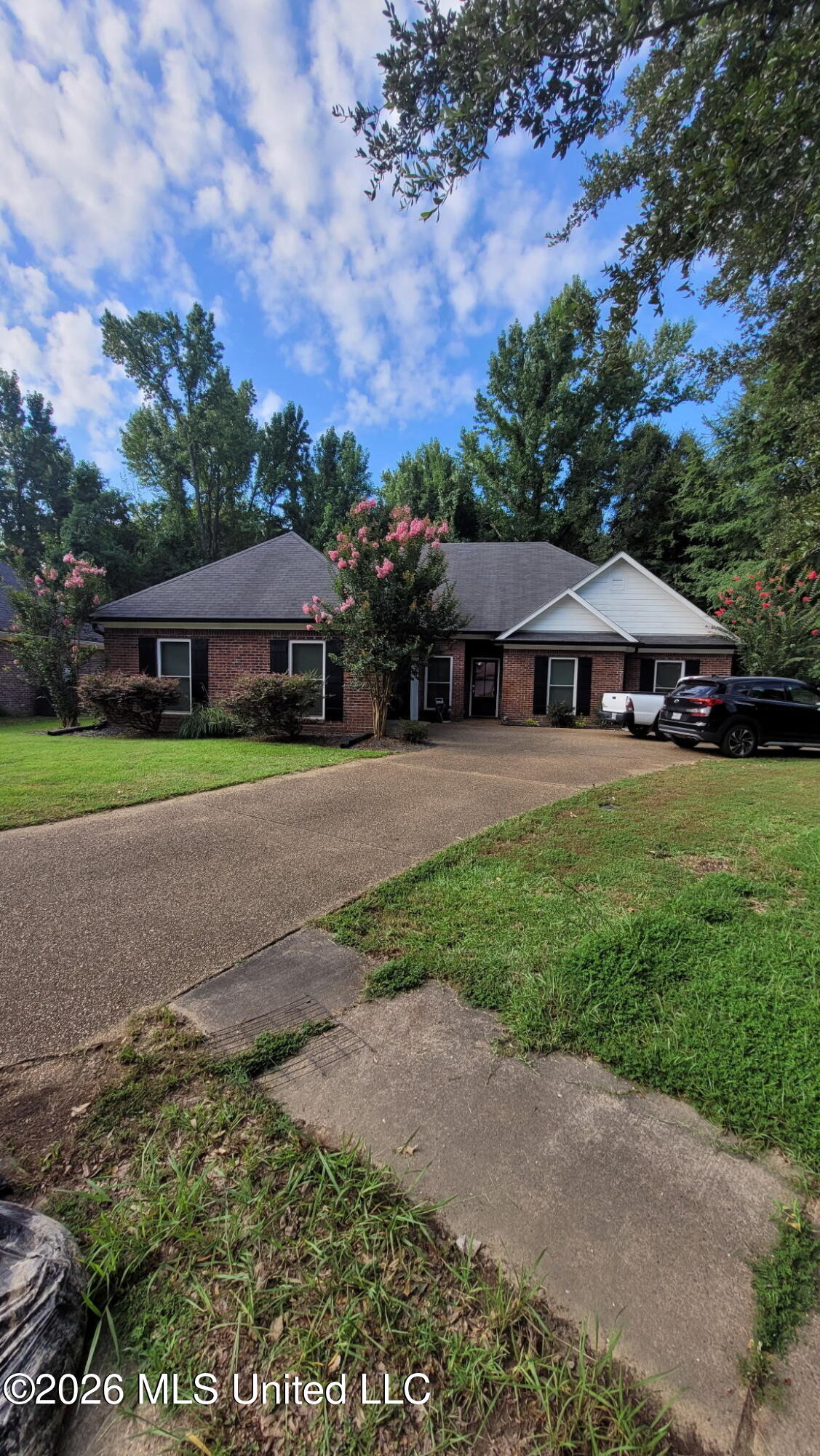 107 Ashby Park Property Photo 4