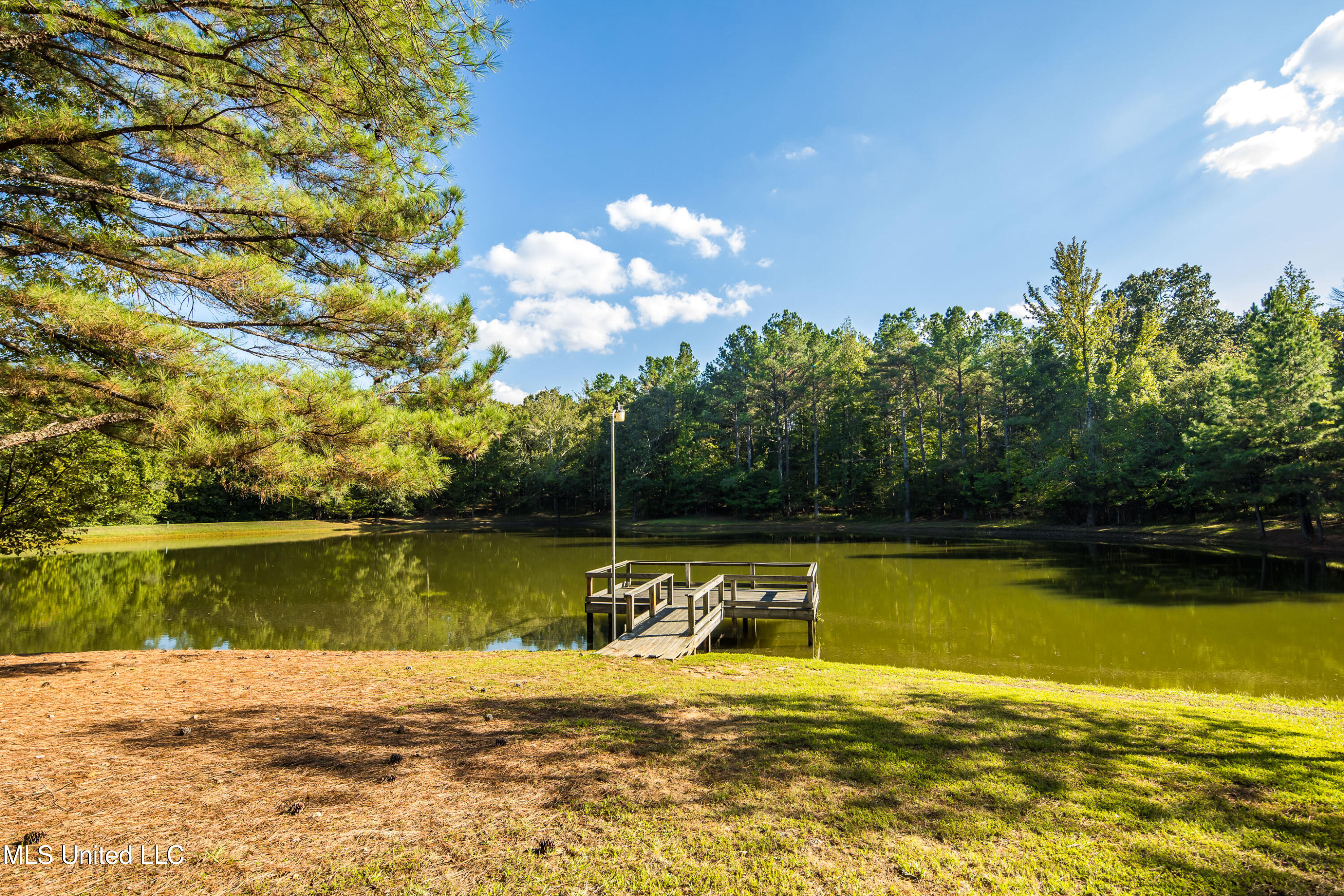 12965 Whispering Pines Drive Property Photo 49