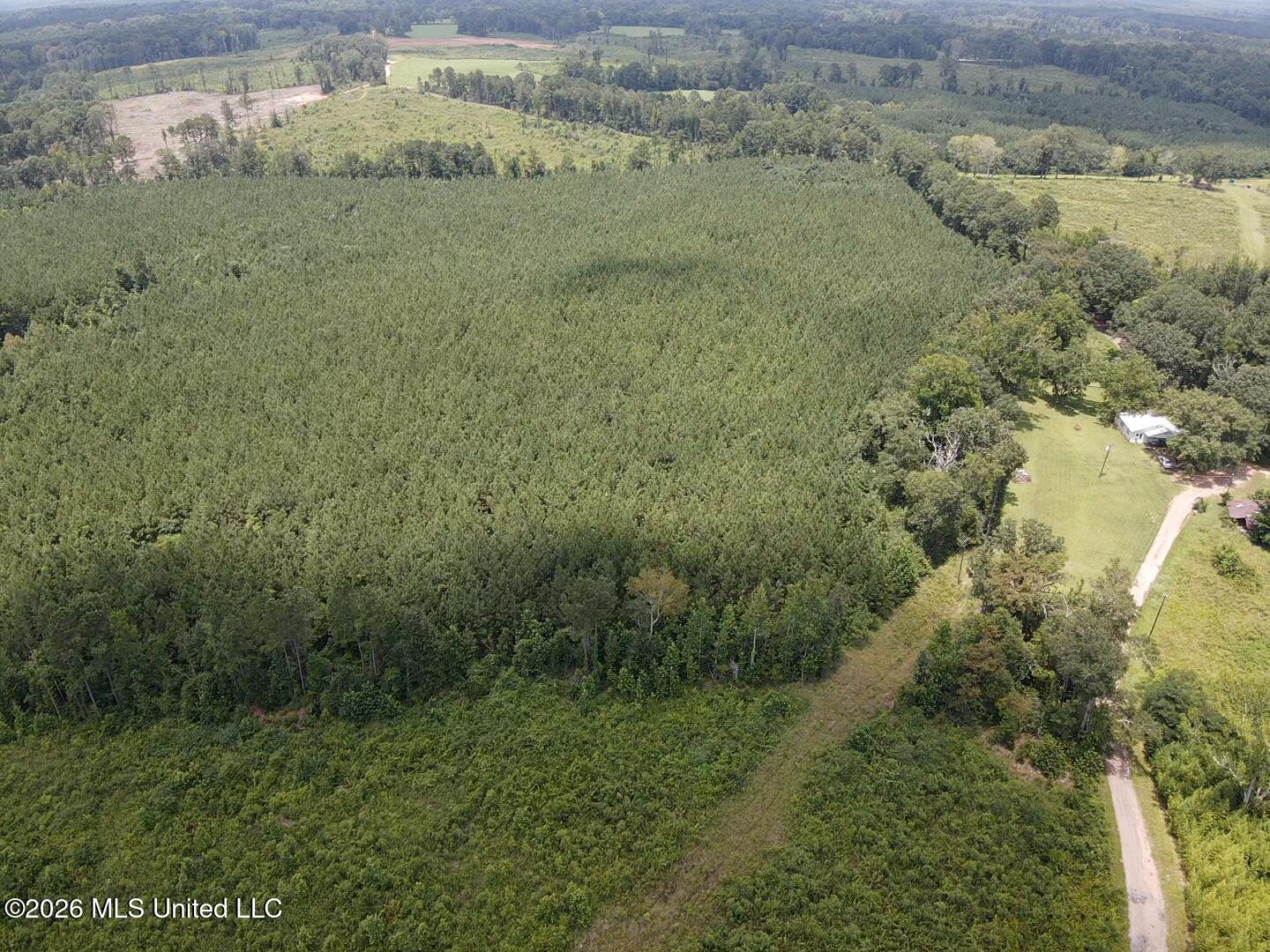County Road 131b Property Photo 6