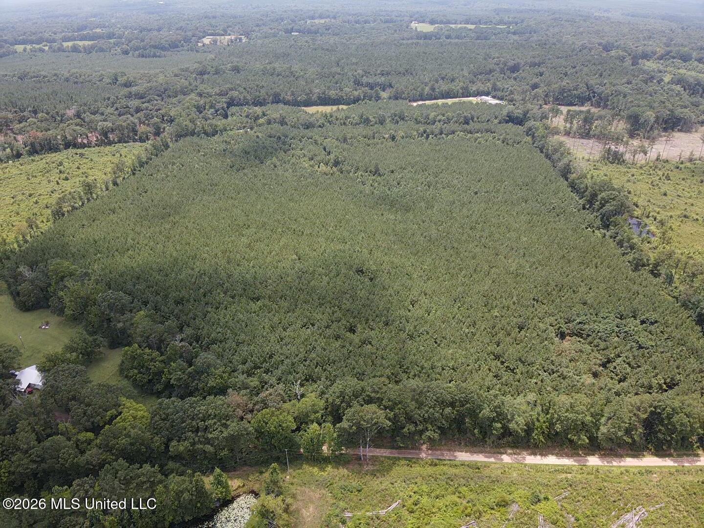 County Road 131b Property Photo 10