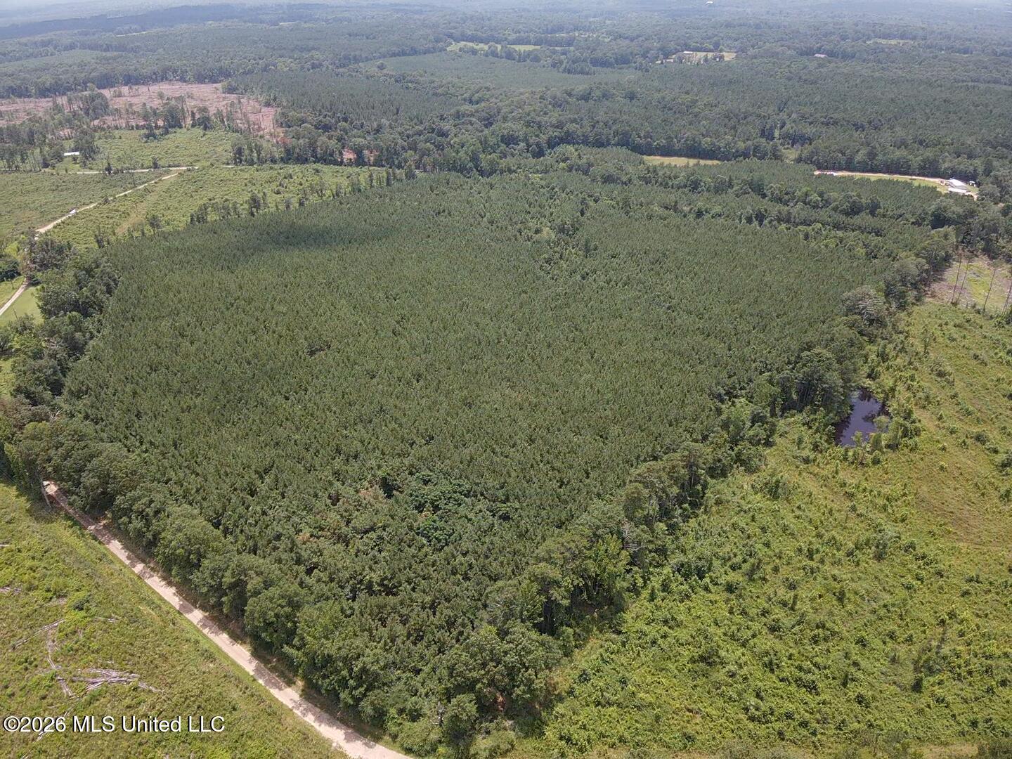 County Road 131b Property Photo 12