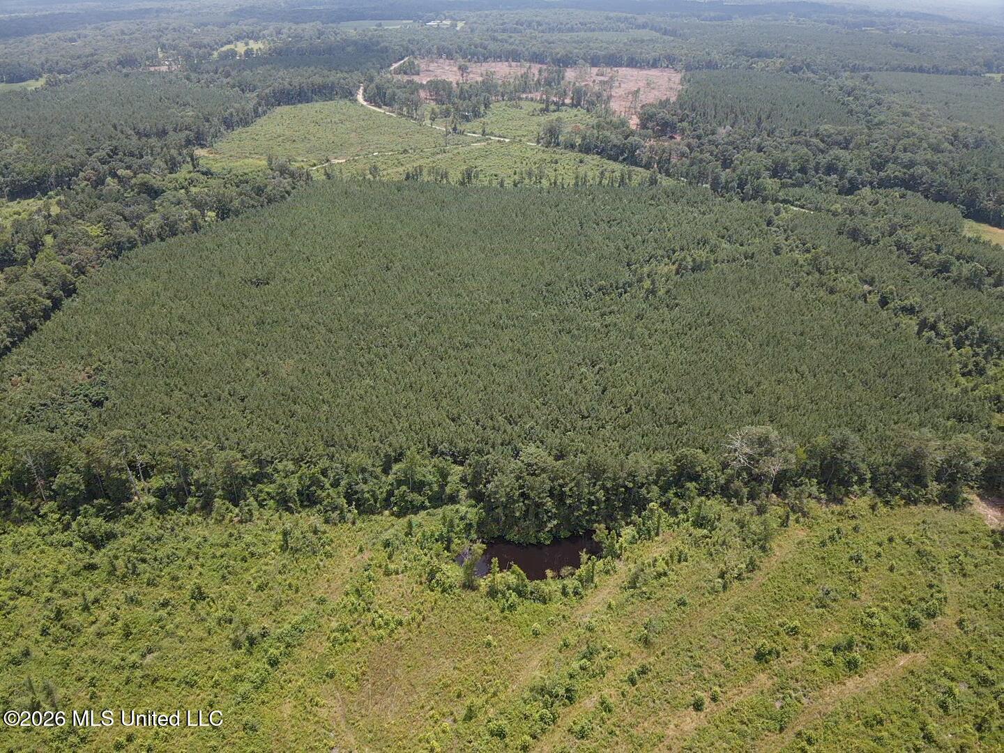 County Road 131b Property Photo 13