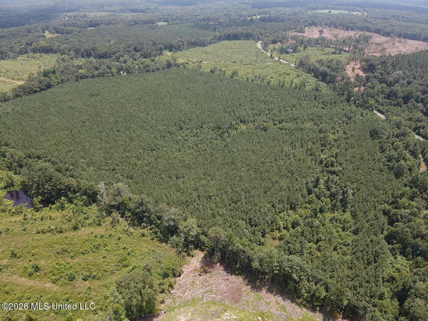 County Road 131b Property Photo 15