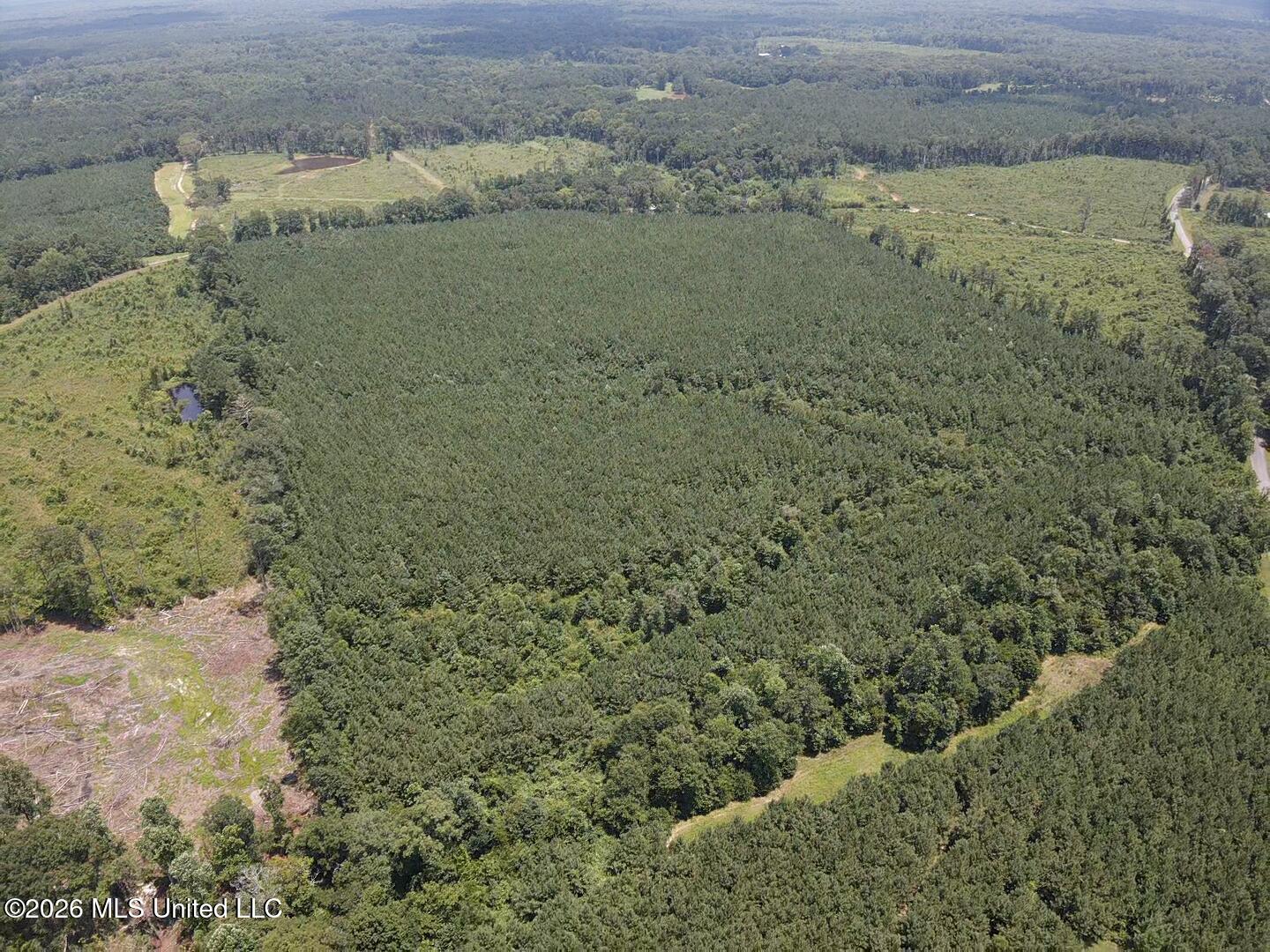 County Road 131b Property Photo 17