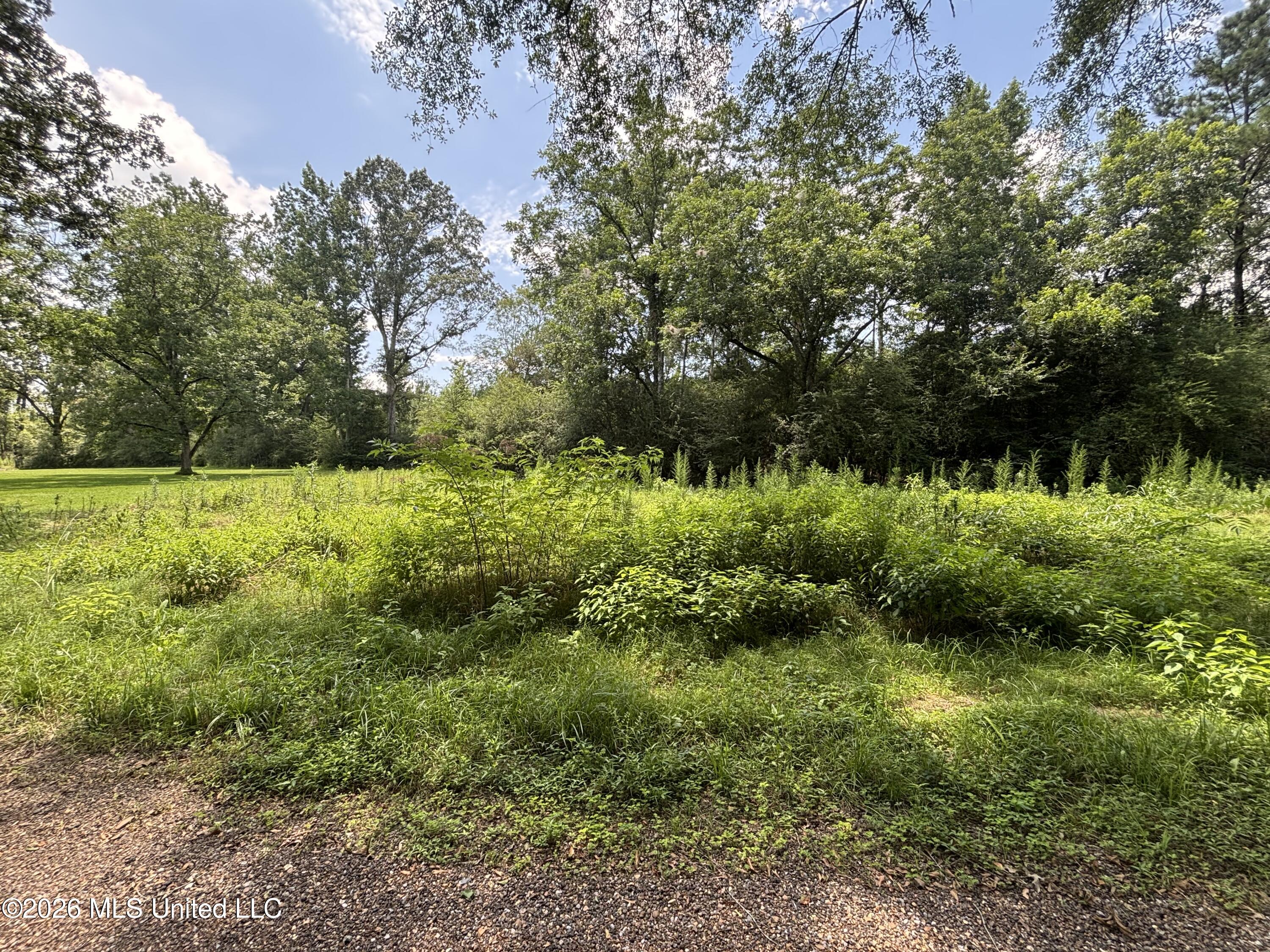 County Road 131b Property Photo 19