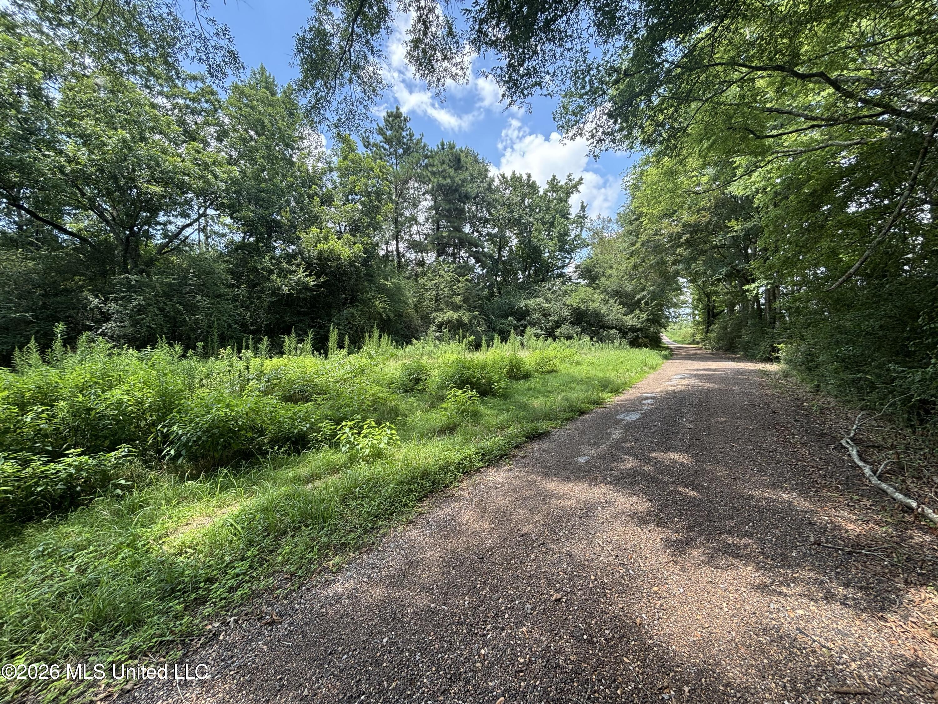 County Road 131b Property Photo 20