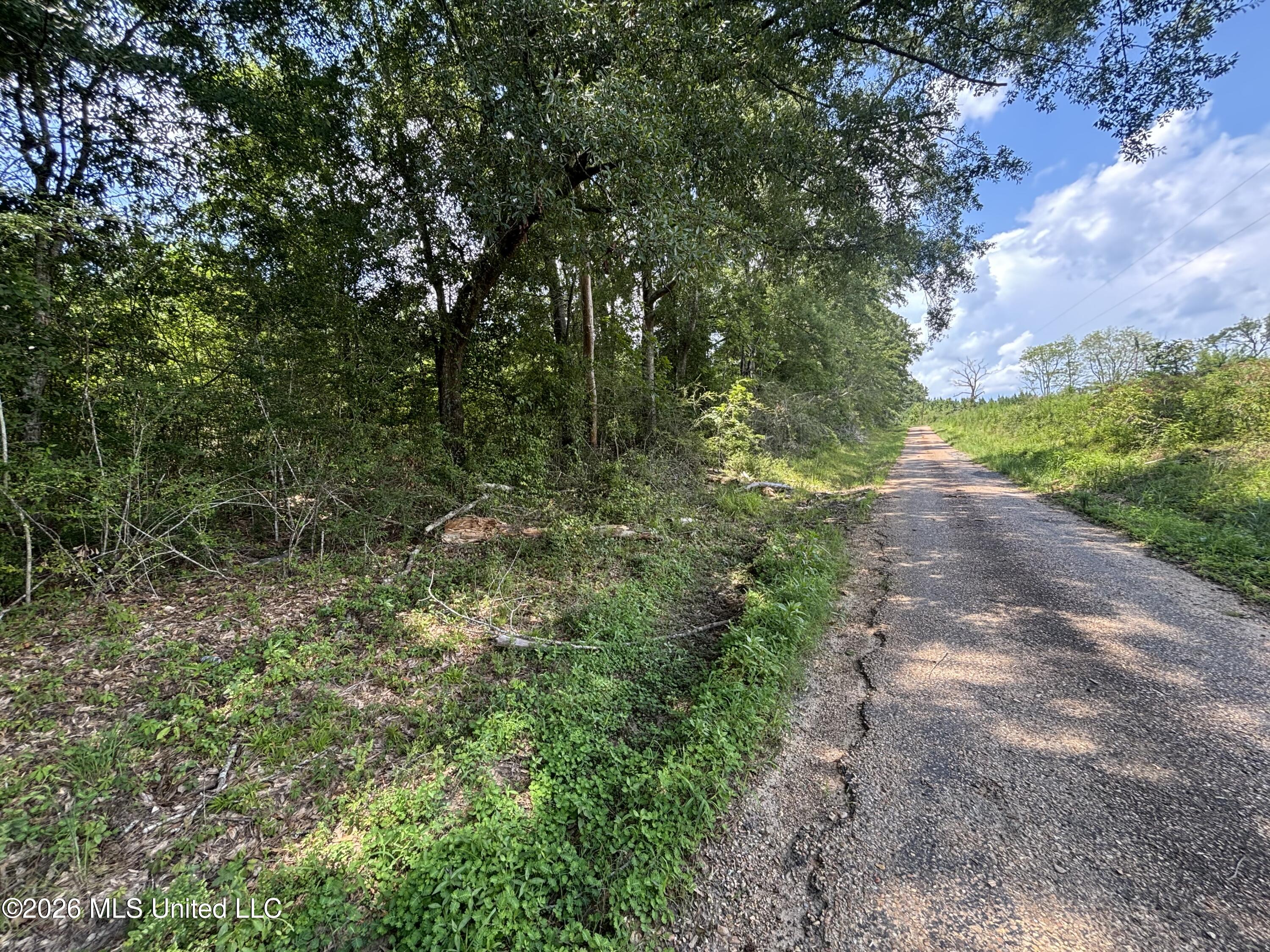 County Road 131b Property Photo 22