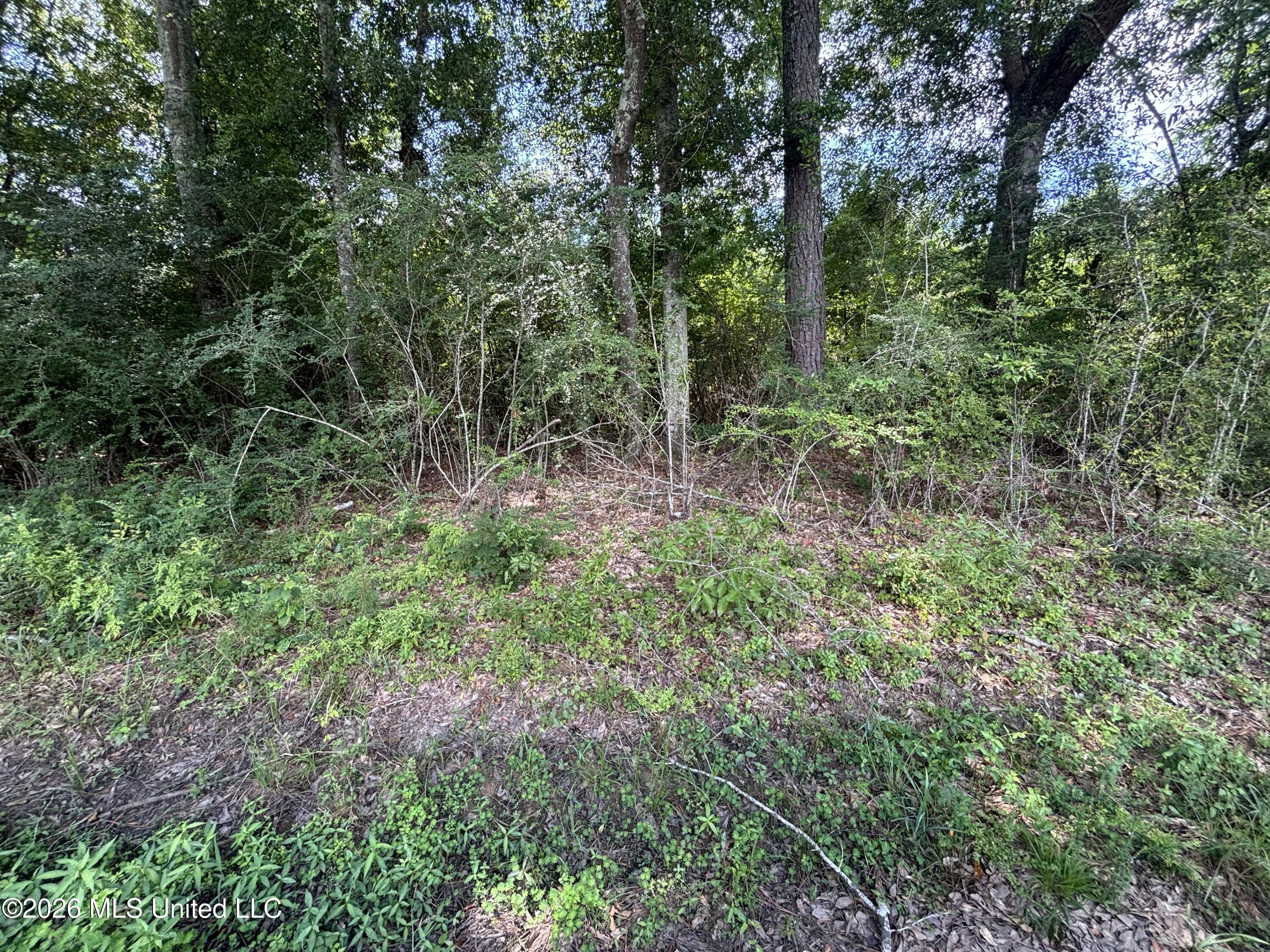 County Road 131b Property Photo 23
