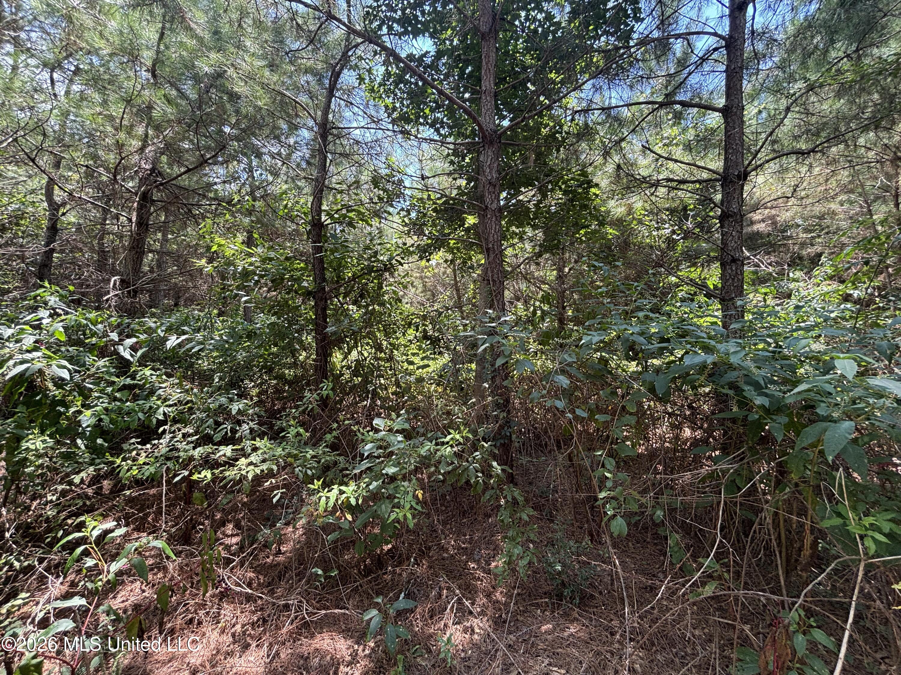 County Road 131b Property Photo 25