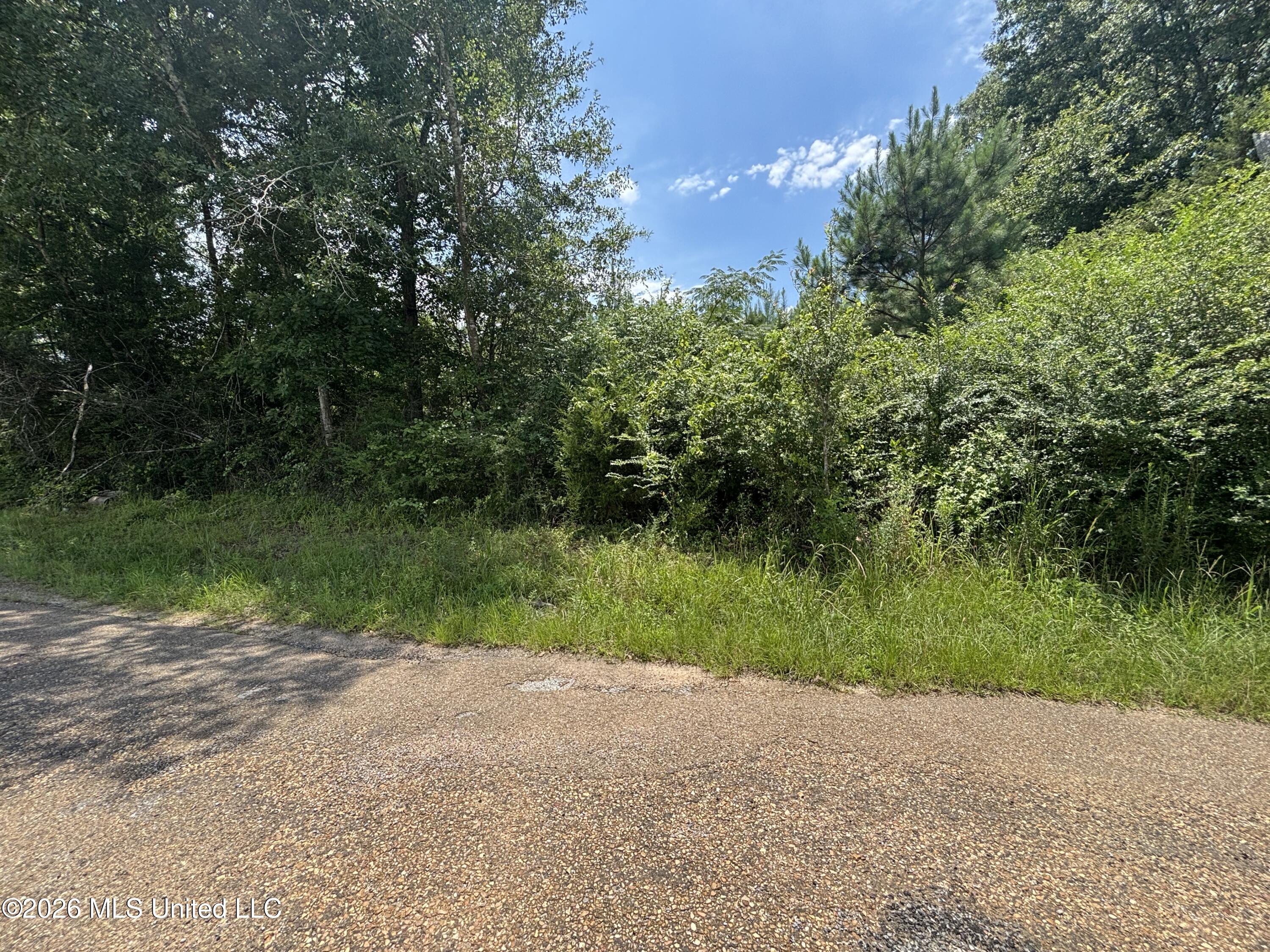 County Road 131b Property Photo 26