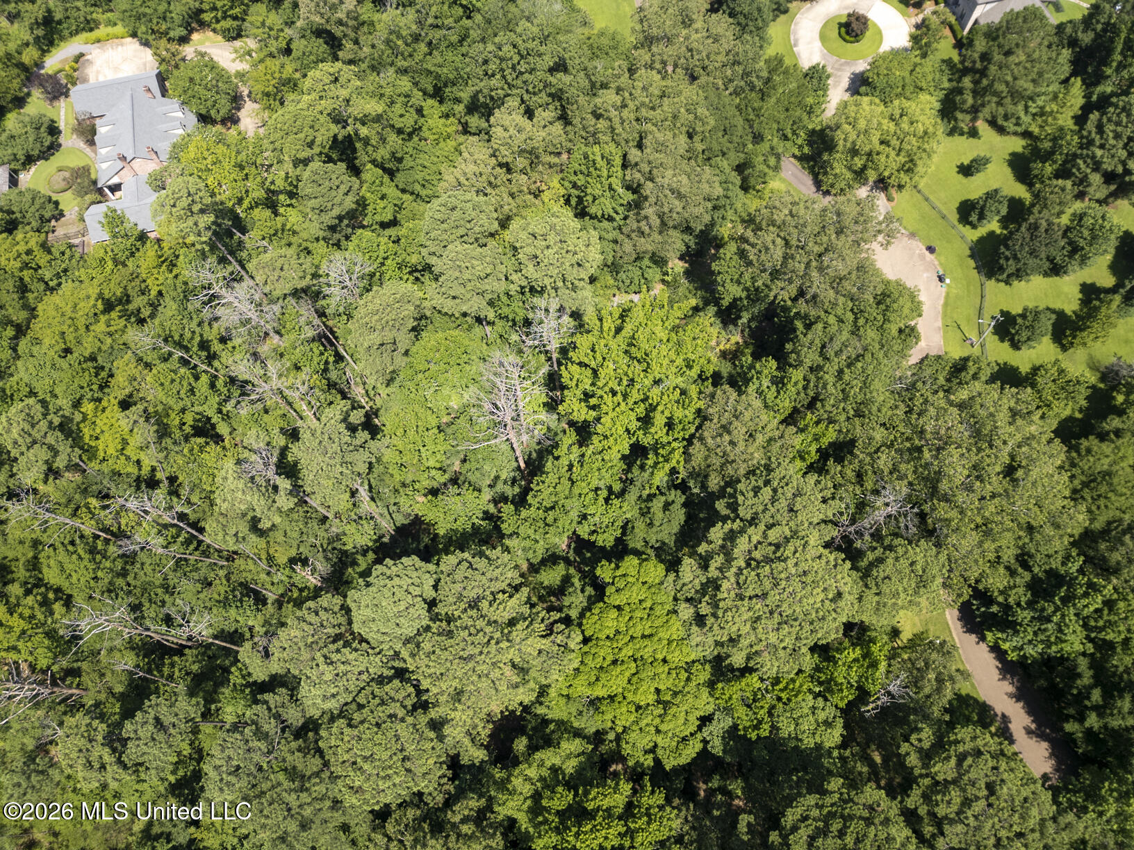 Sundown Cove Property Photo 4