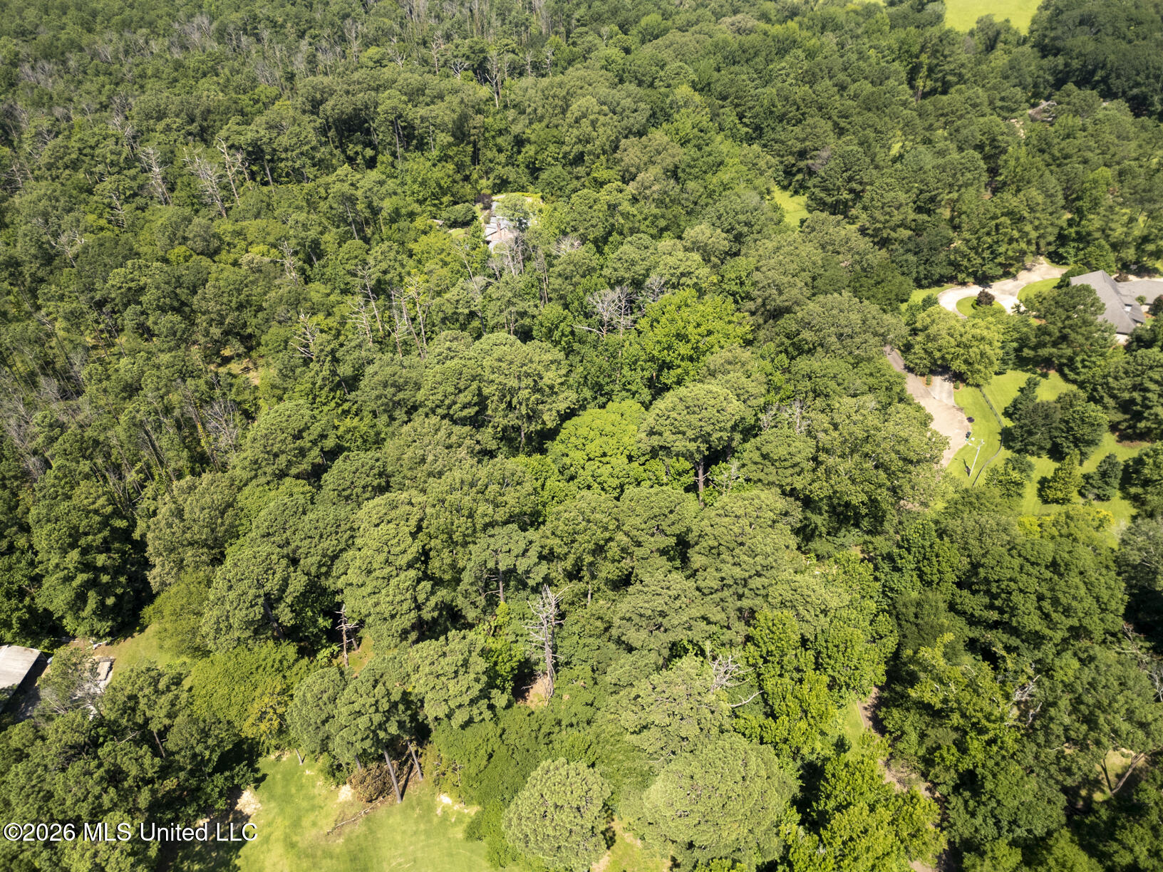 Sundown Cove Property Photo 8