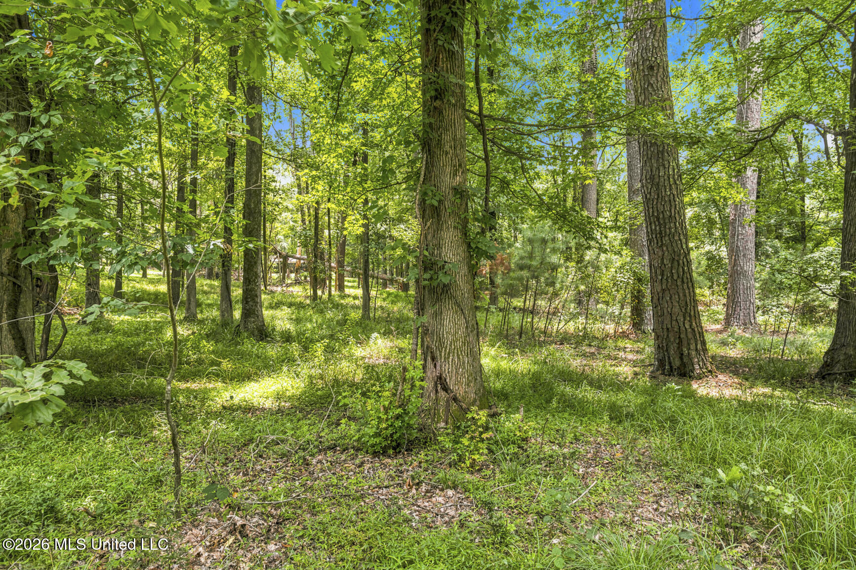 Sundown Cove Property Photo 9