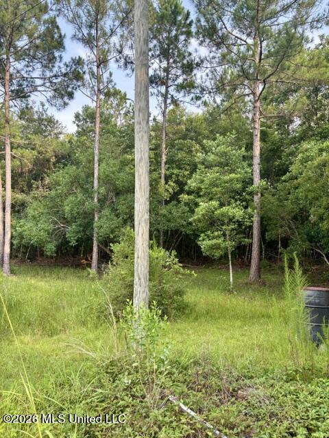 19493 N Shaw Road Property Photo 5