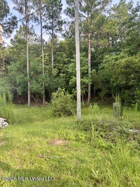 19493 N Shaw Road Property Photo 28