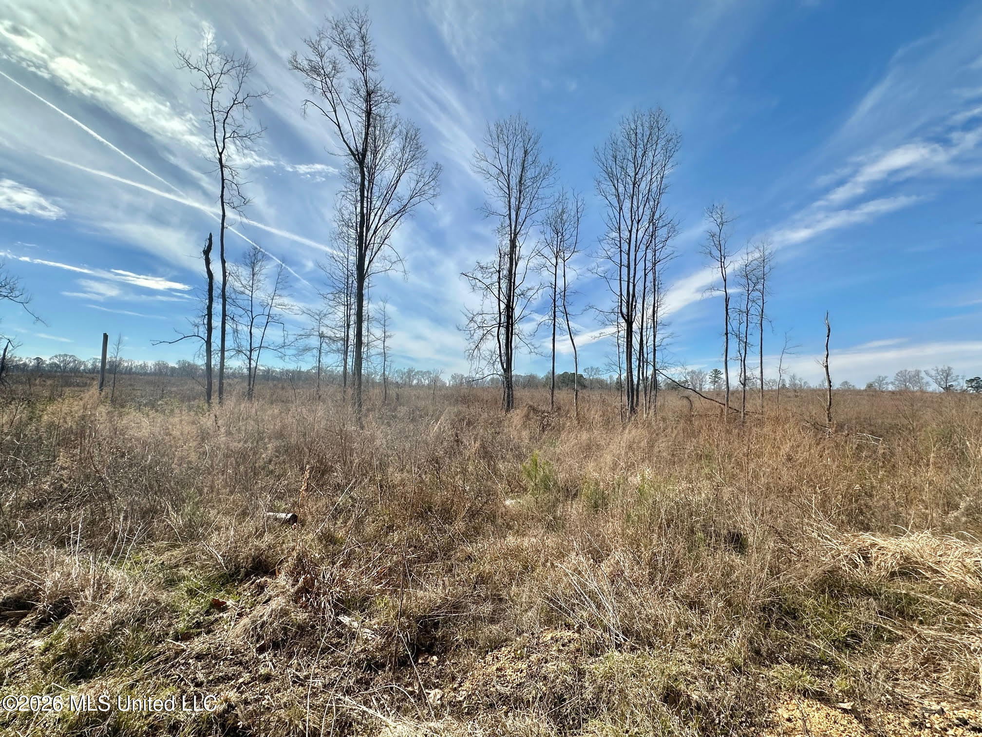 00 Prentiss Crump Road Property Photo 7