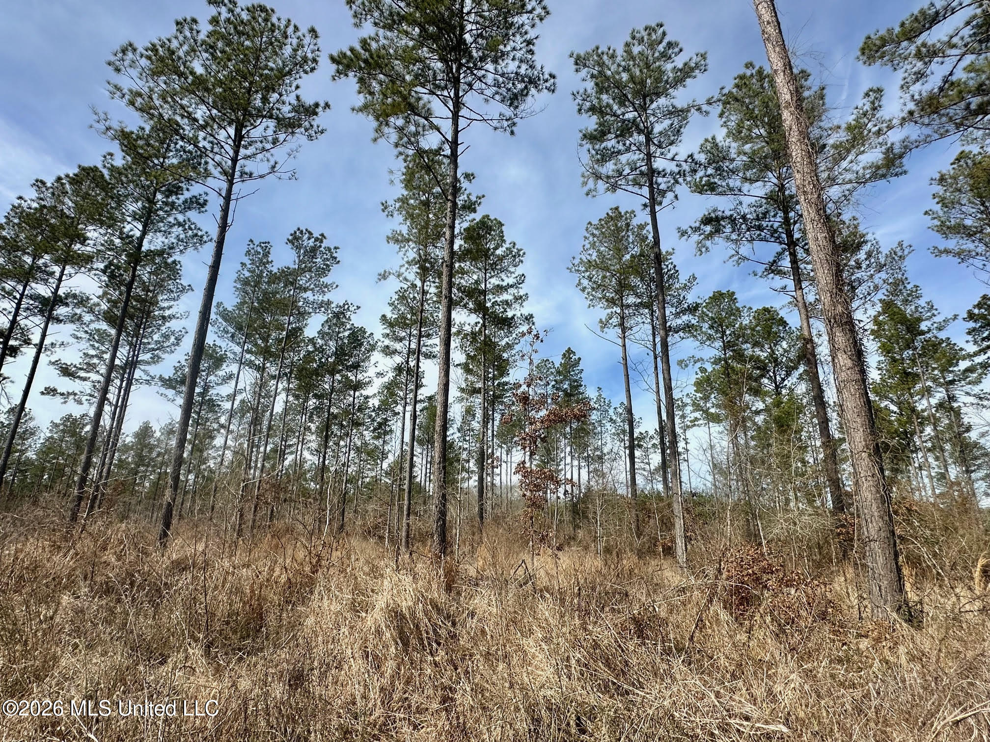 01 Prentiss Crump Road Property Photo 4